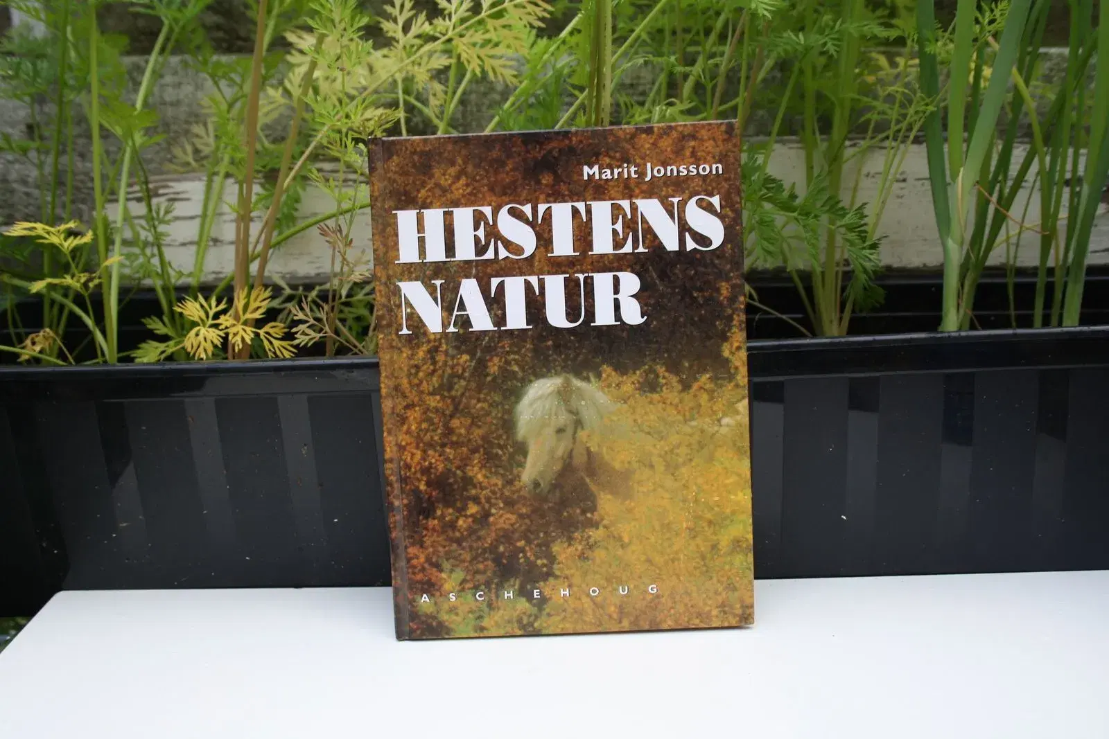 Heste Natur