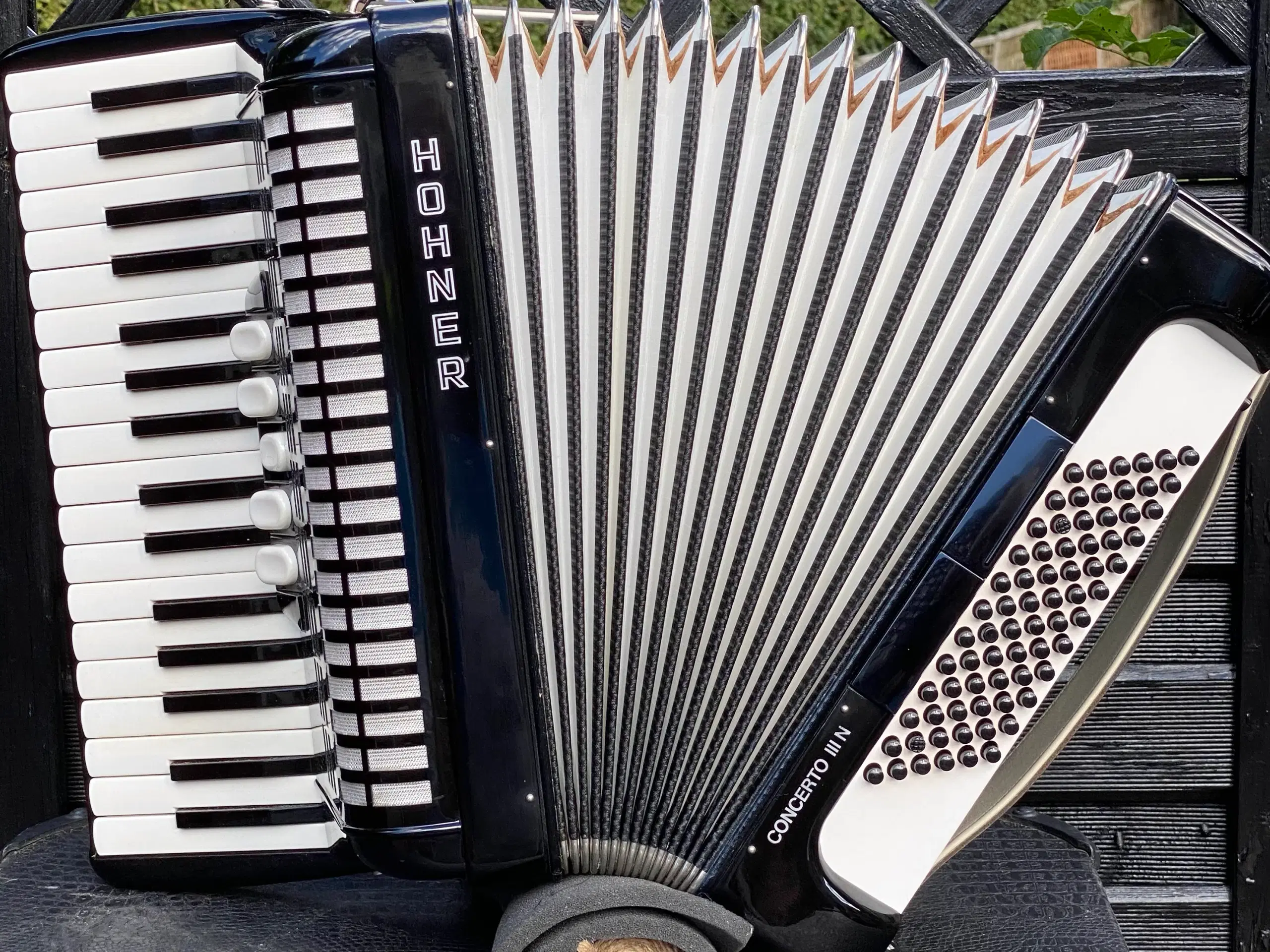 Denne brugte Hohner Concerto III N 72 harmonika