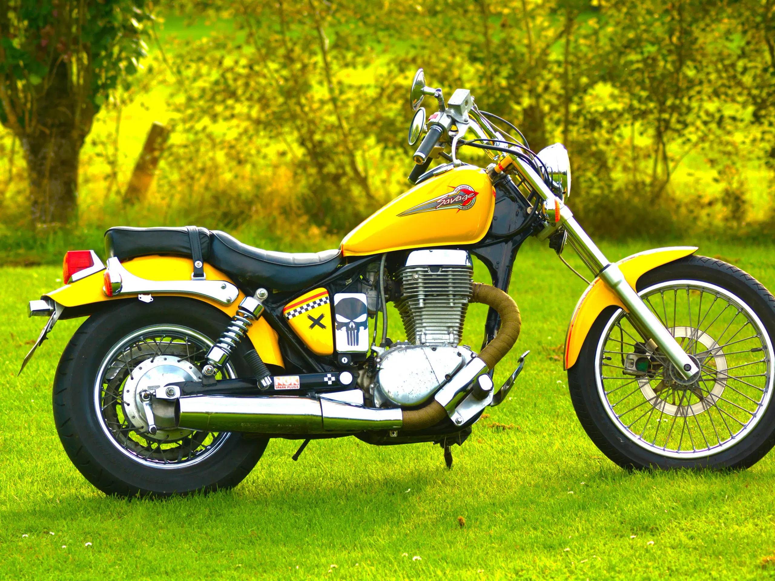 Suzuki Savage LS 650