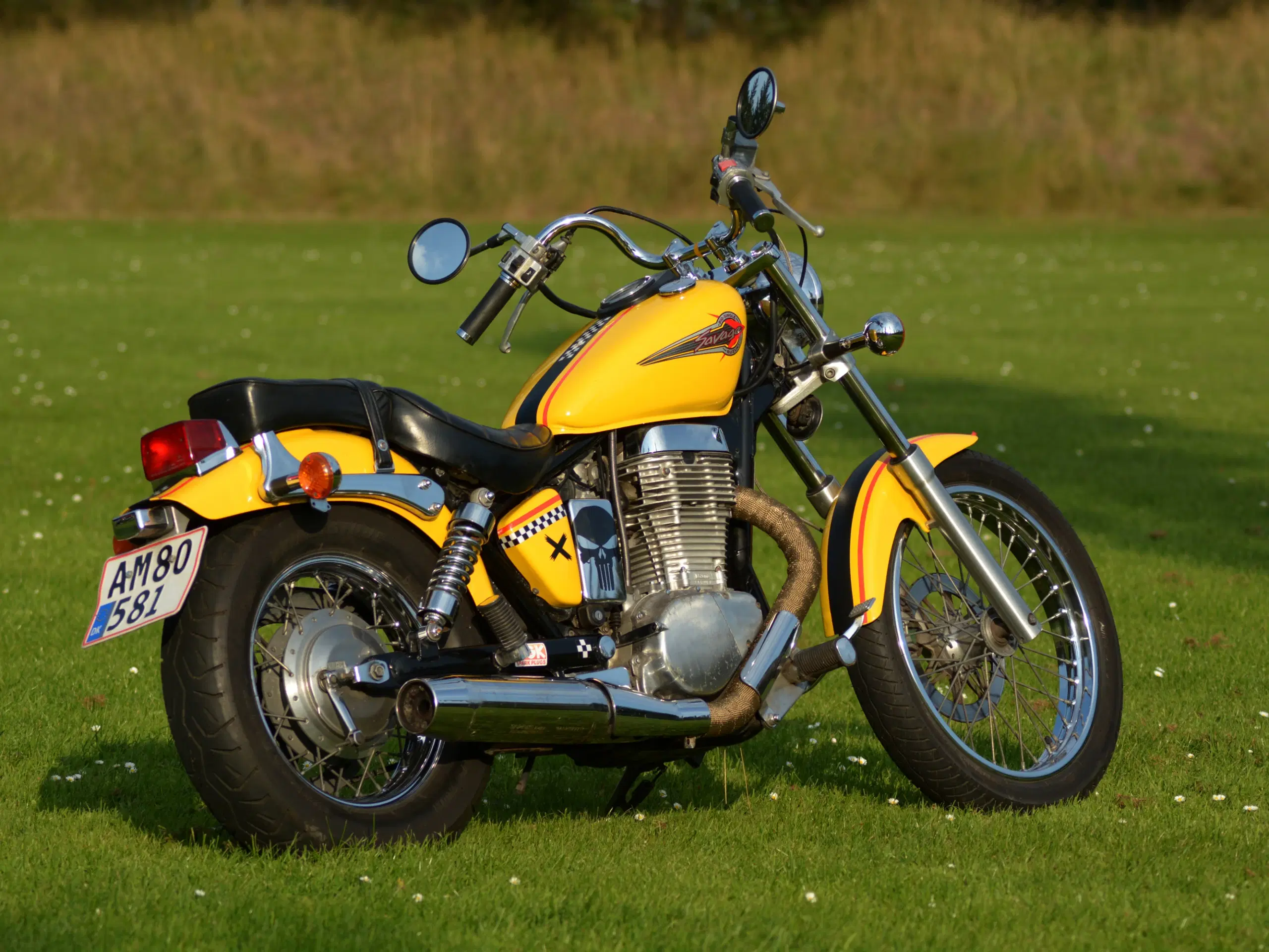 Suzuki Savage LS 650