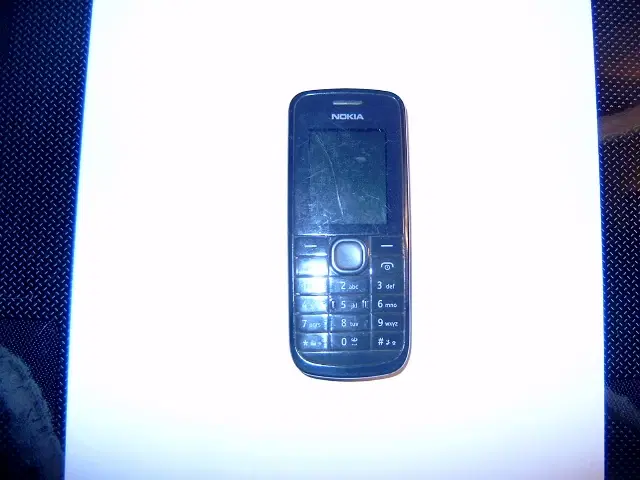 Nokia 113