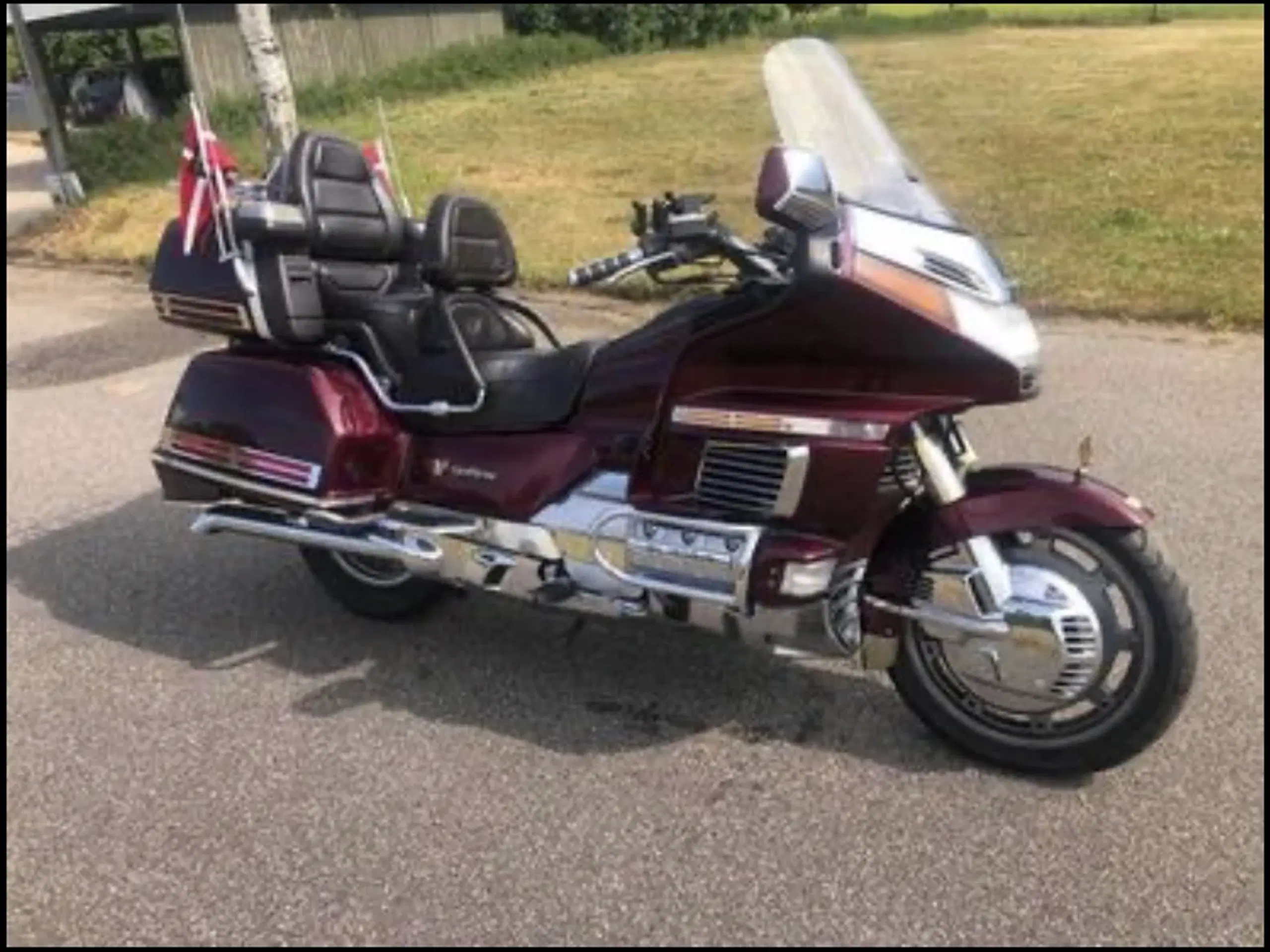 Rigtig flot Goldwing