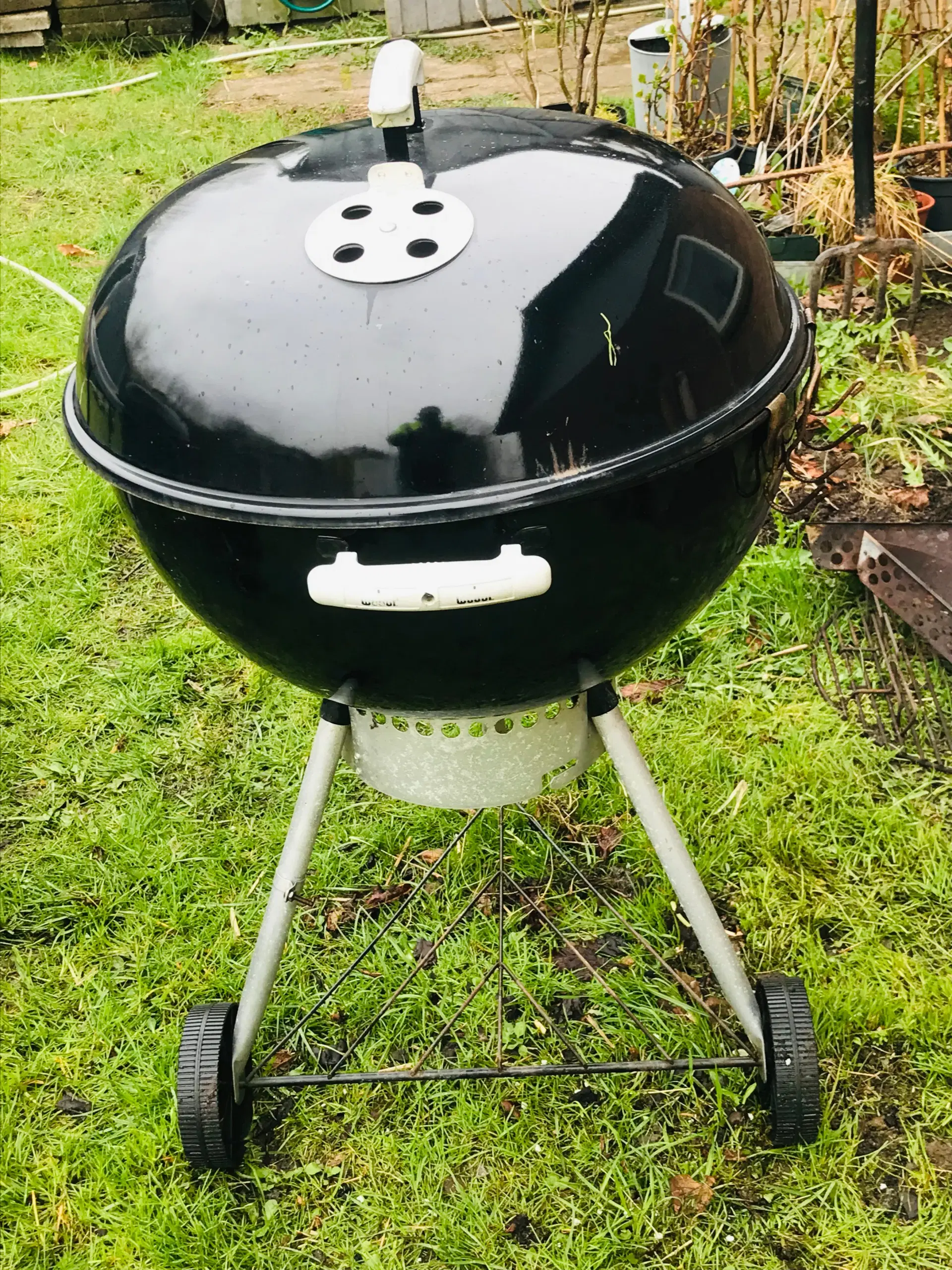 Weber-grill