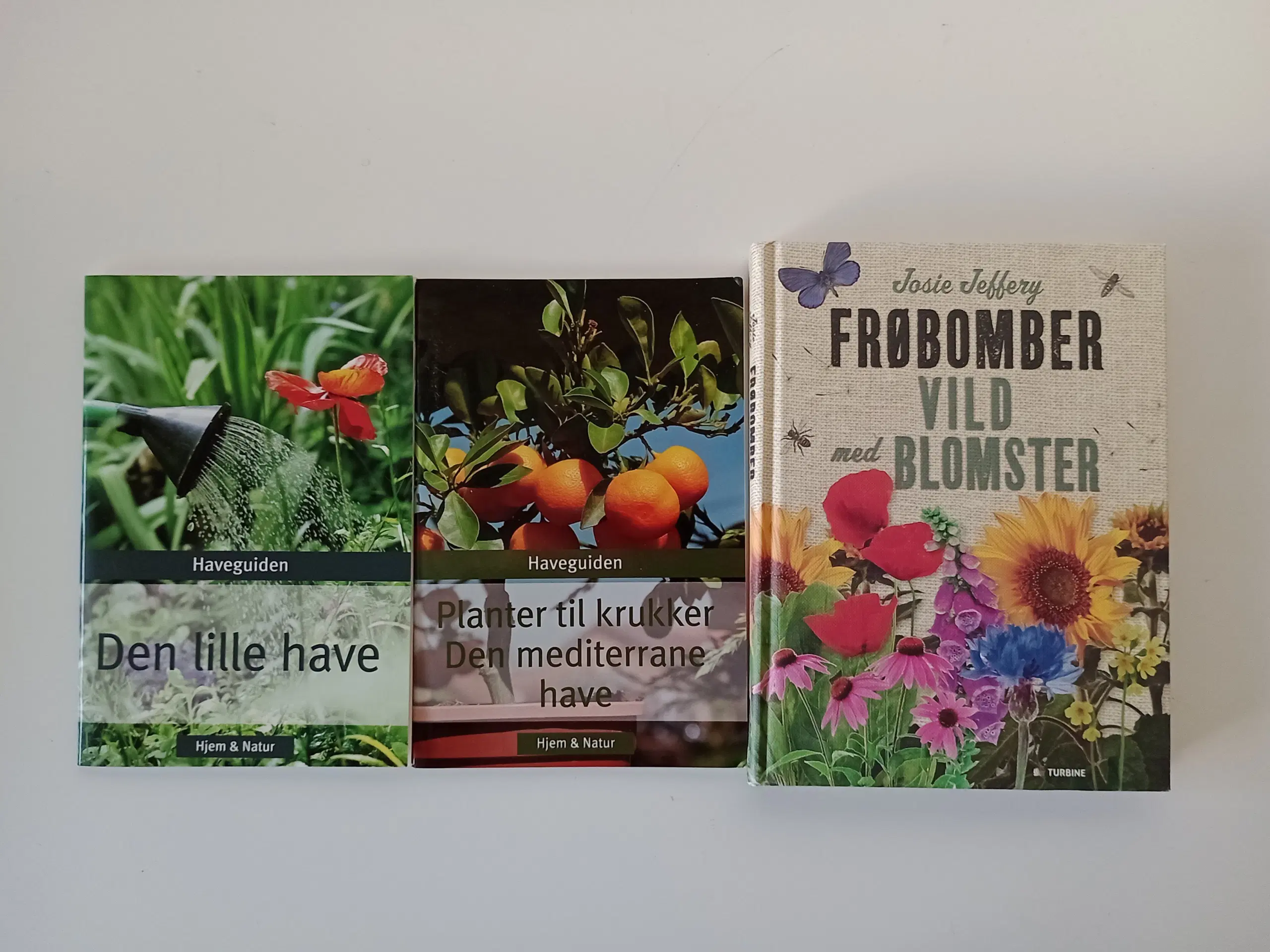 Frø + mediterrane krukker + lille have.