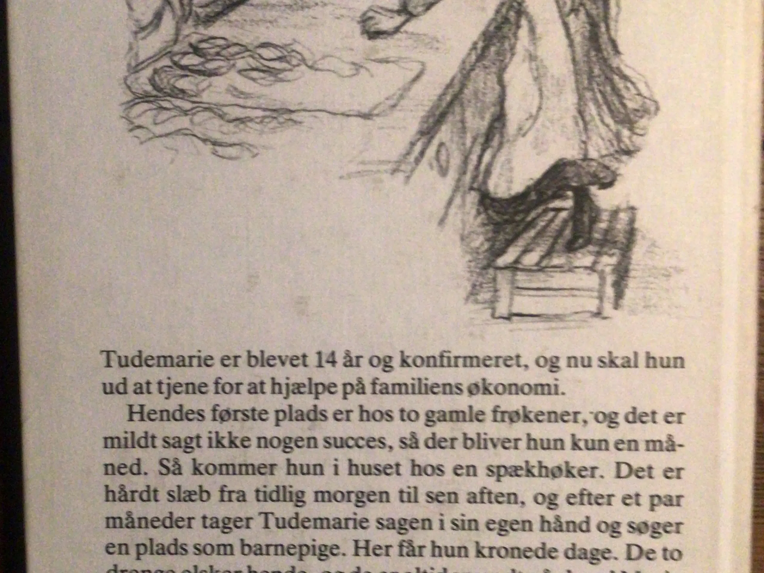 Maria Andersen : Tudemarie søger plads