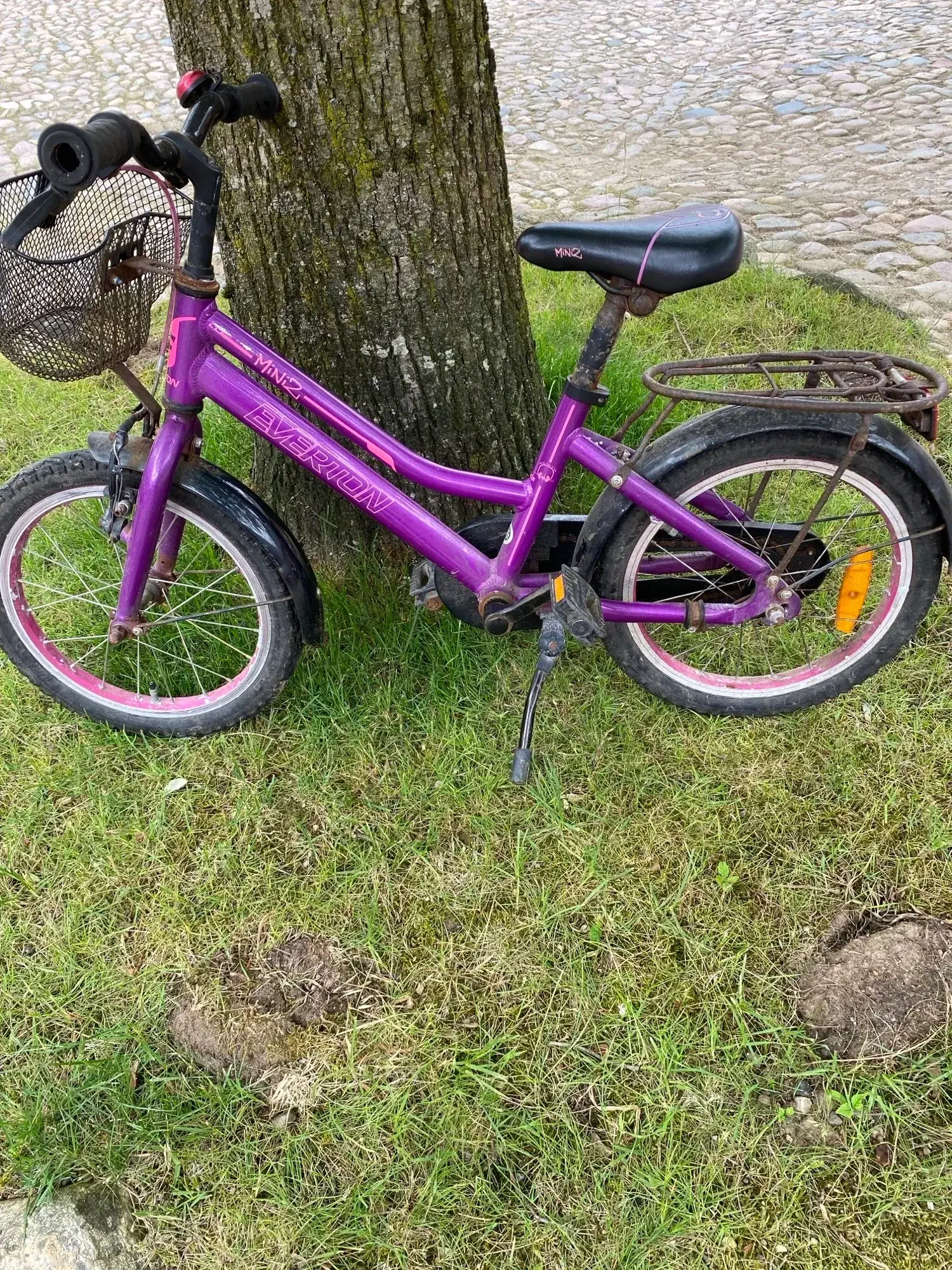 Pigecykel