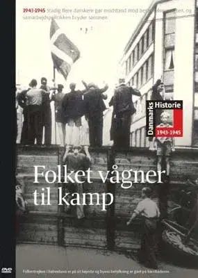 Danmarks Historie