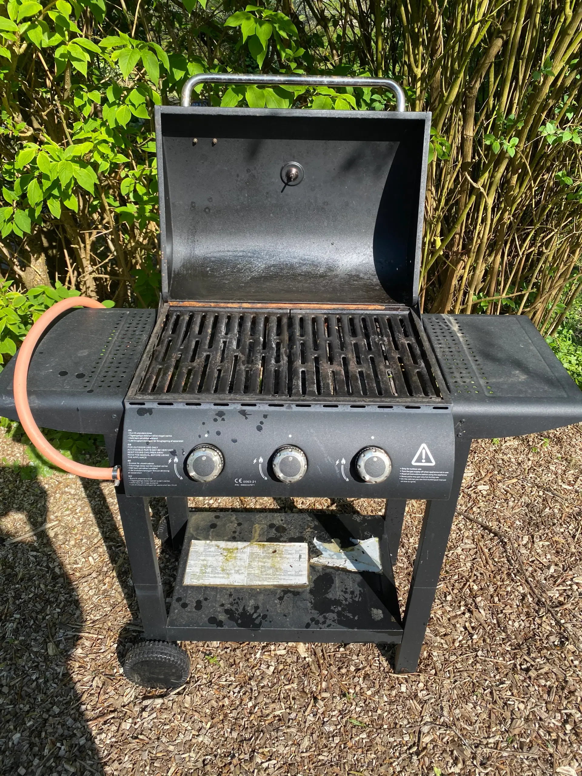 Gas grill