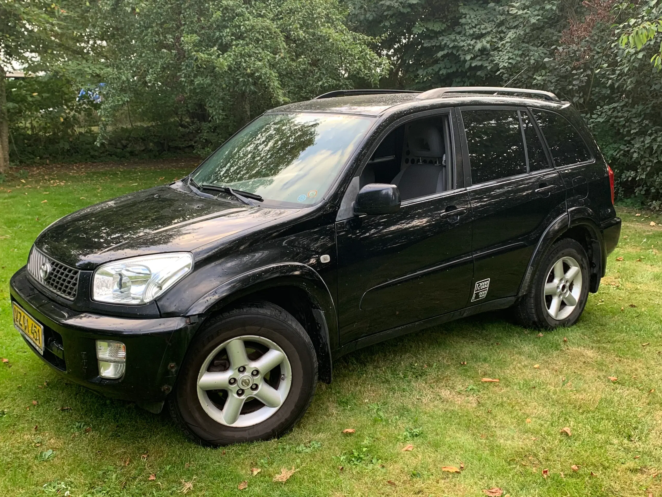 Toyota Raw 4x4