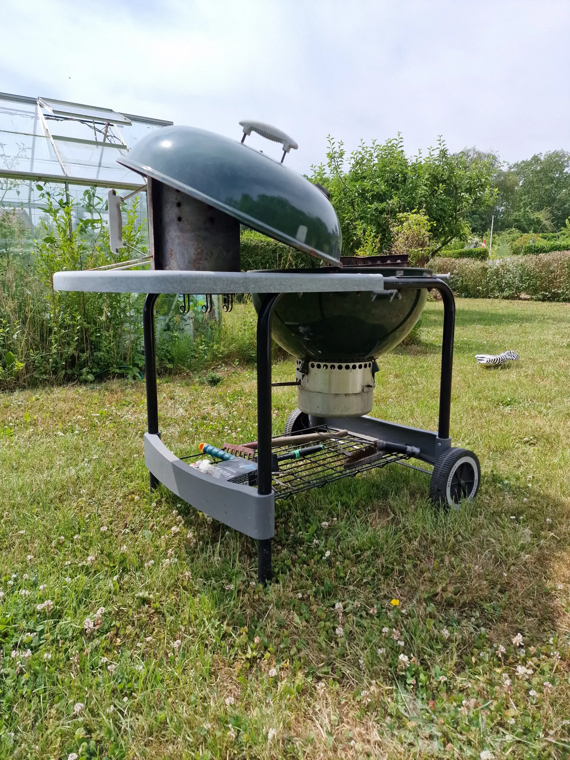 Weber grill