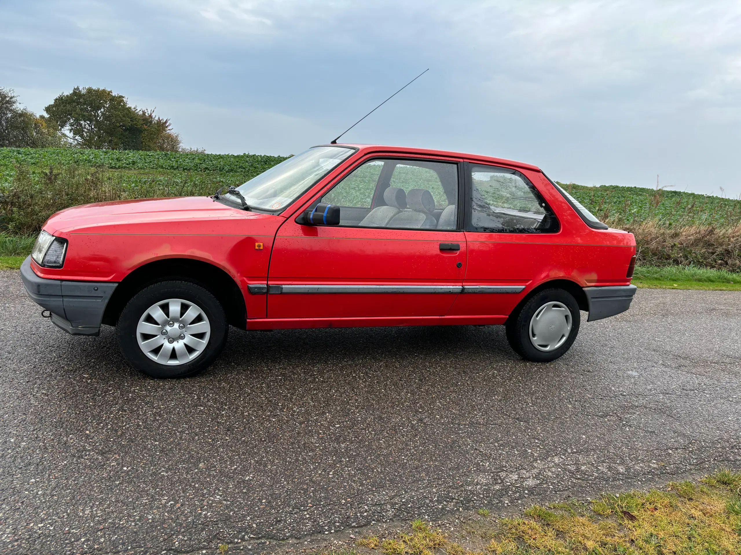 Peugeot 309 veteran