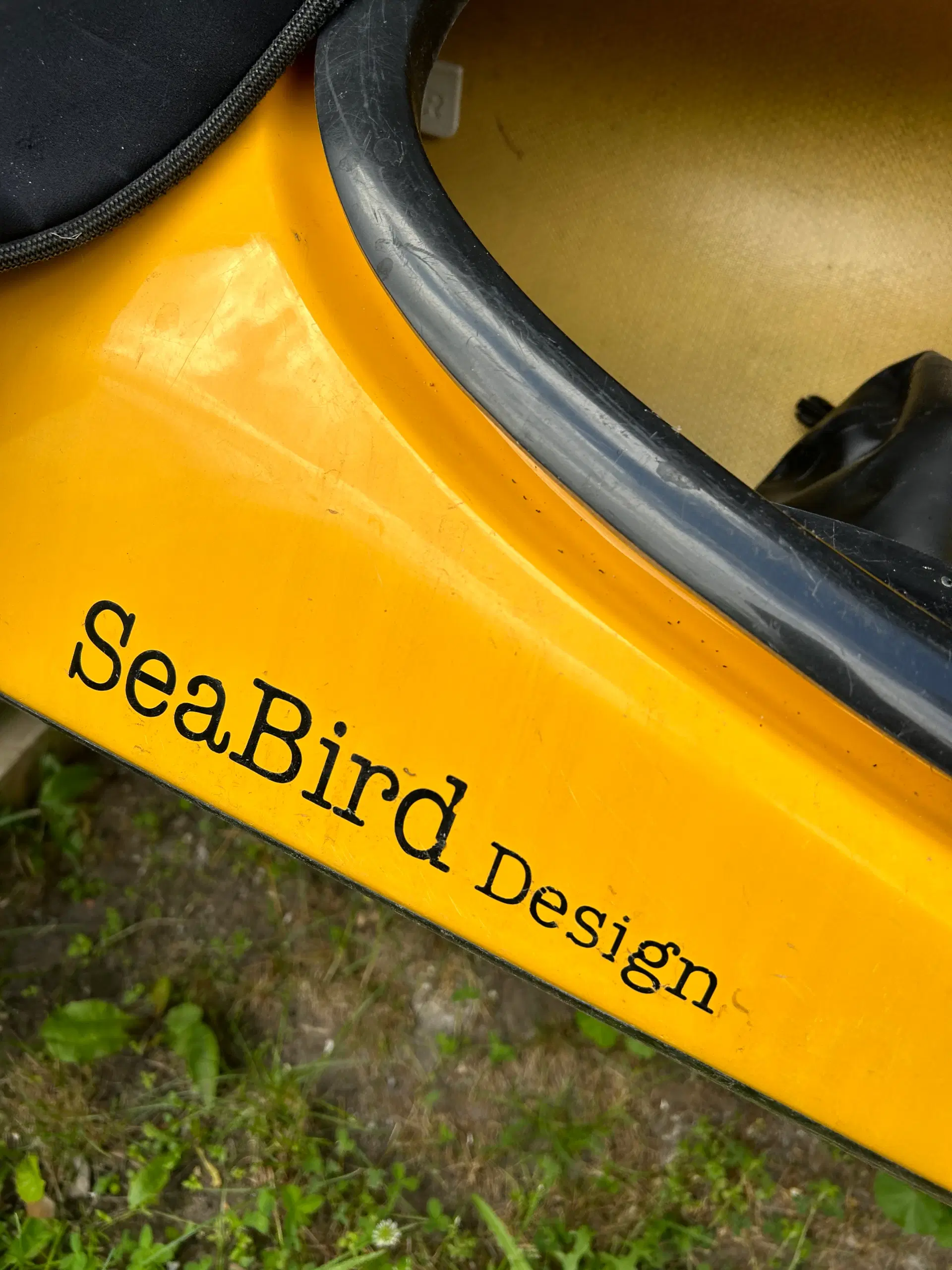 Seabird expedition Carbon kevlar kajak