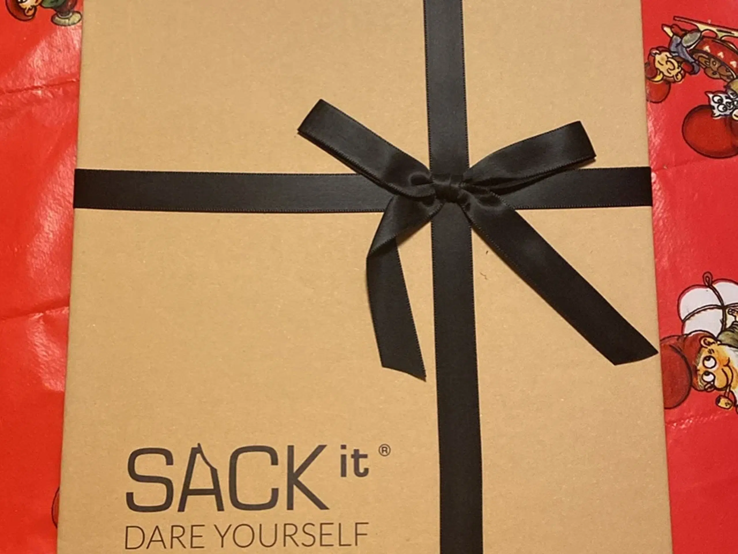 Sackit giftset EarPods/trådløs oplader