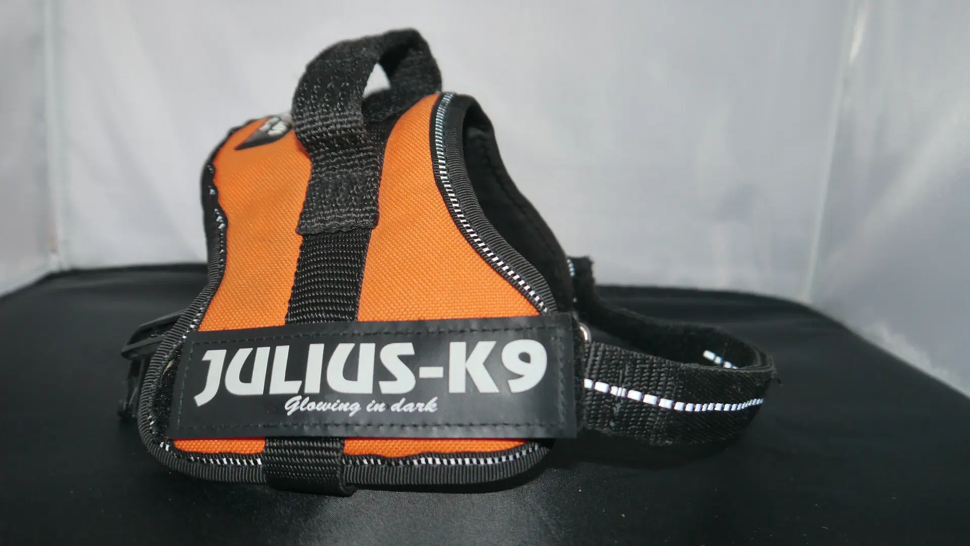 Hundesele Julius - k9 S mini mini + Hundesnor  B