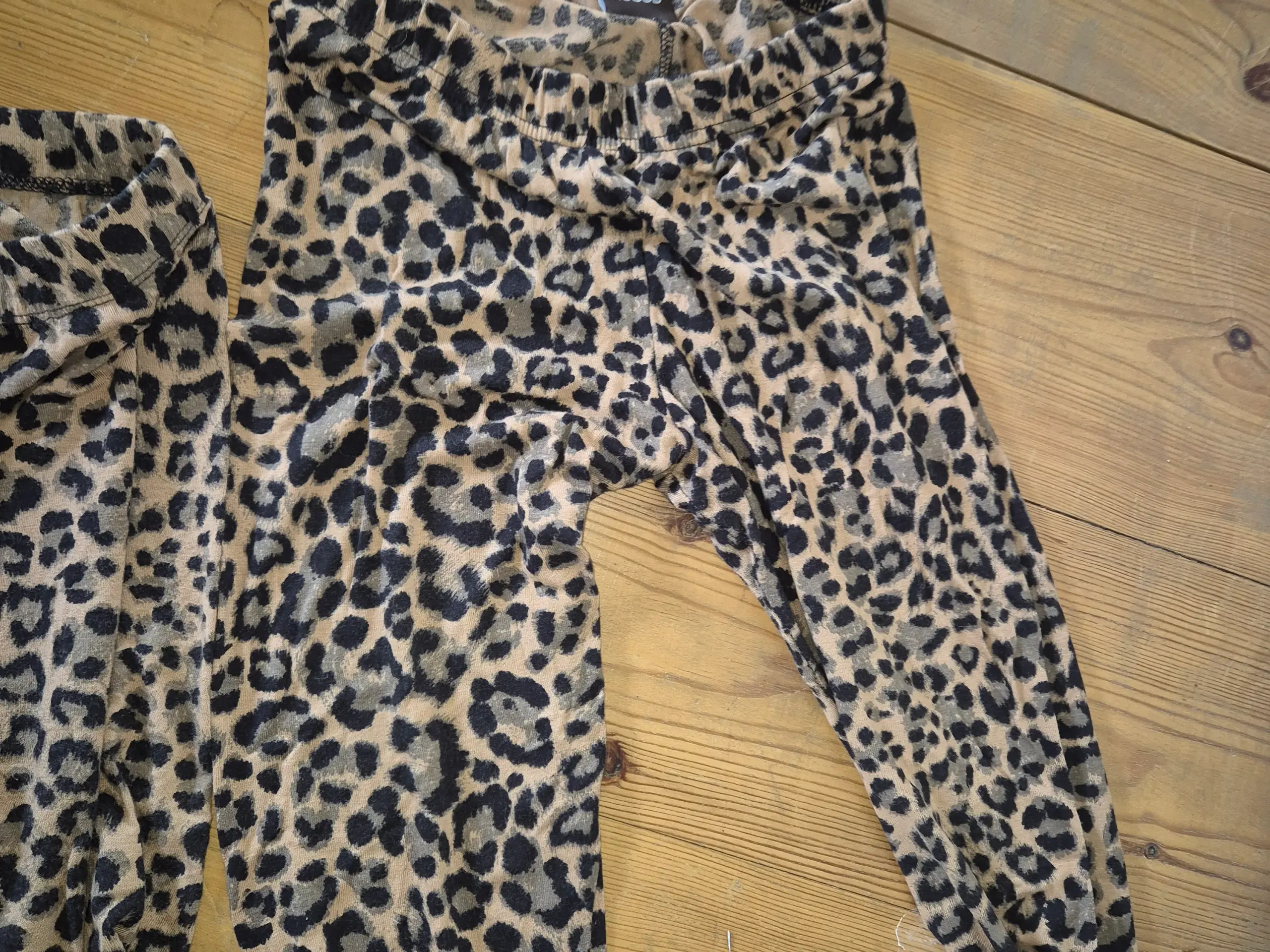 Leo leggings og shorts - 50 kr