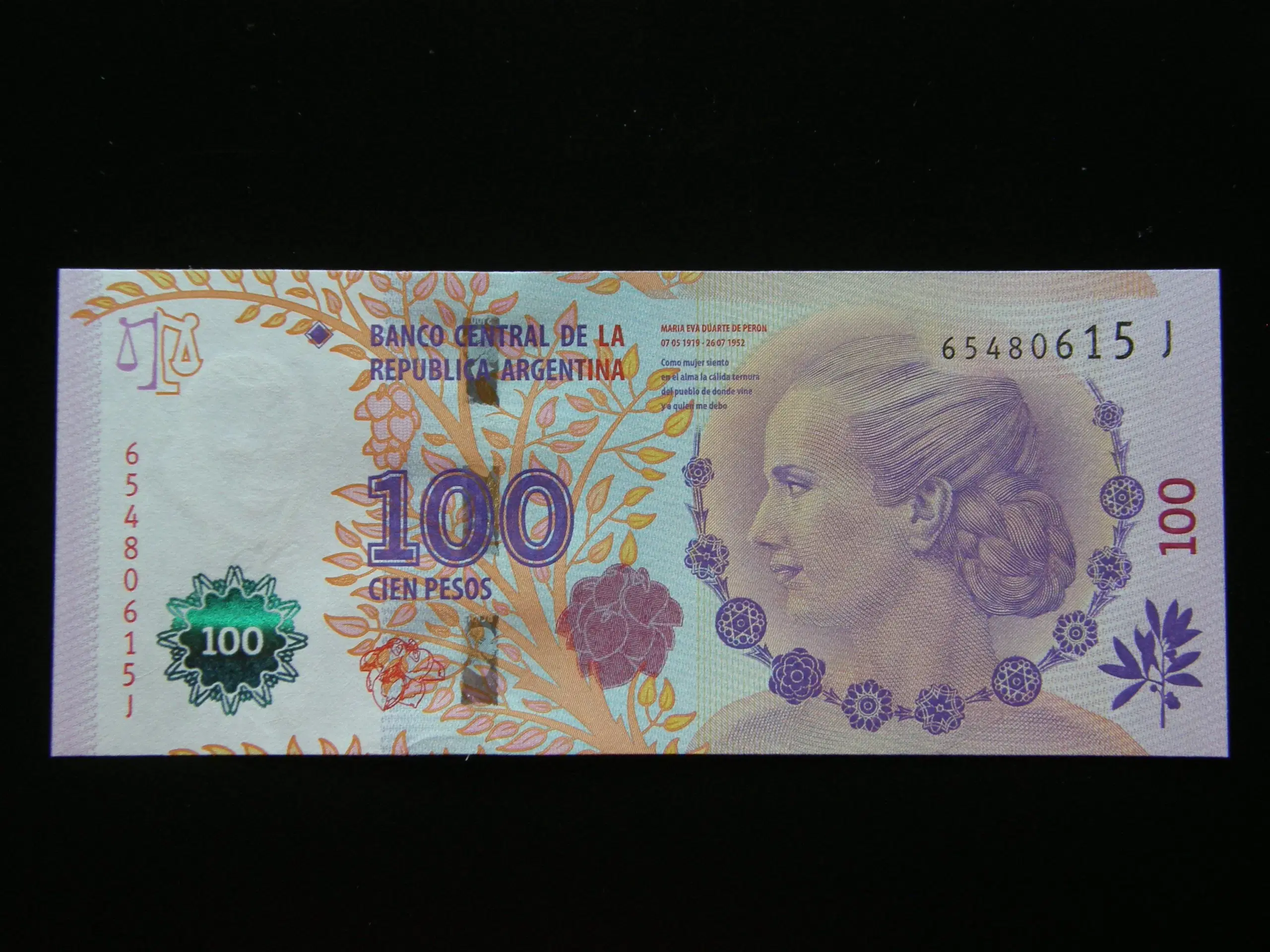 Argentina  100 Pesos  2014  P358  Unc