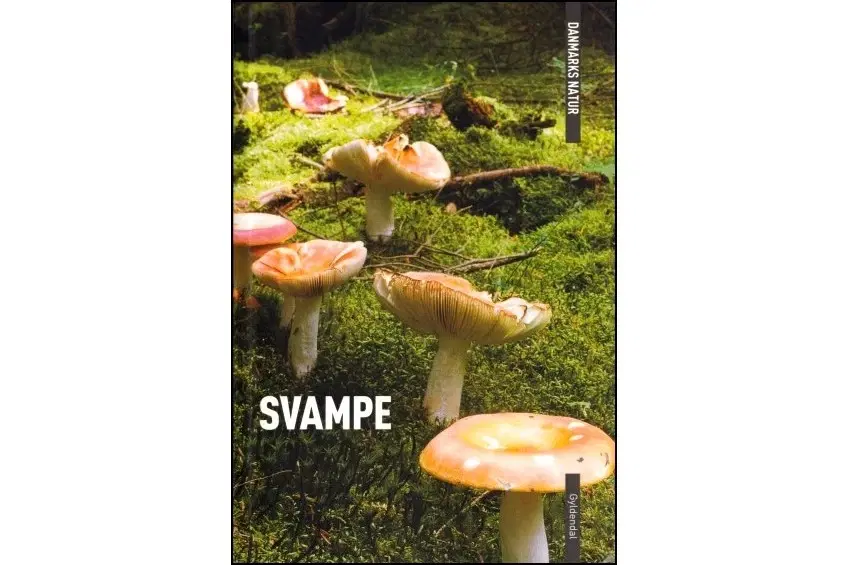 Svampe