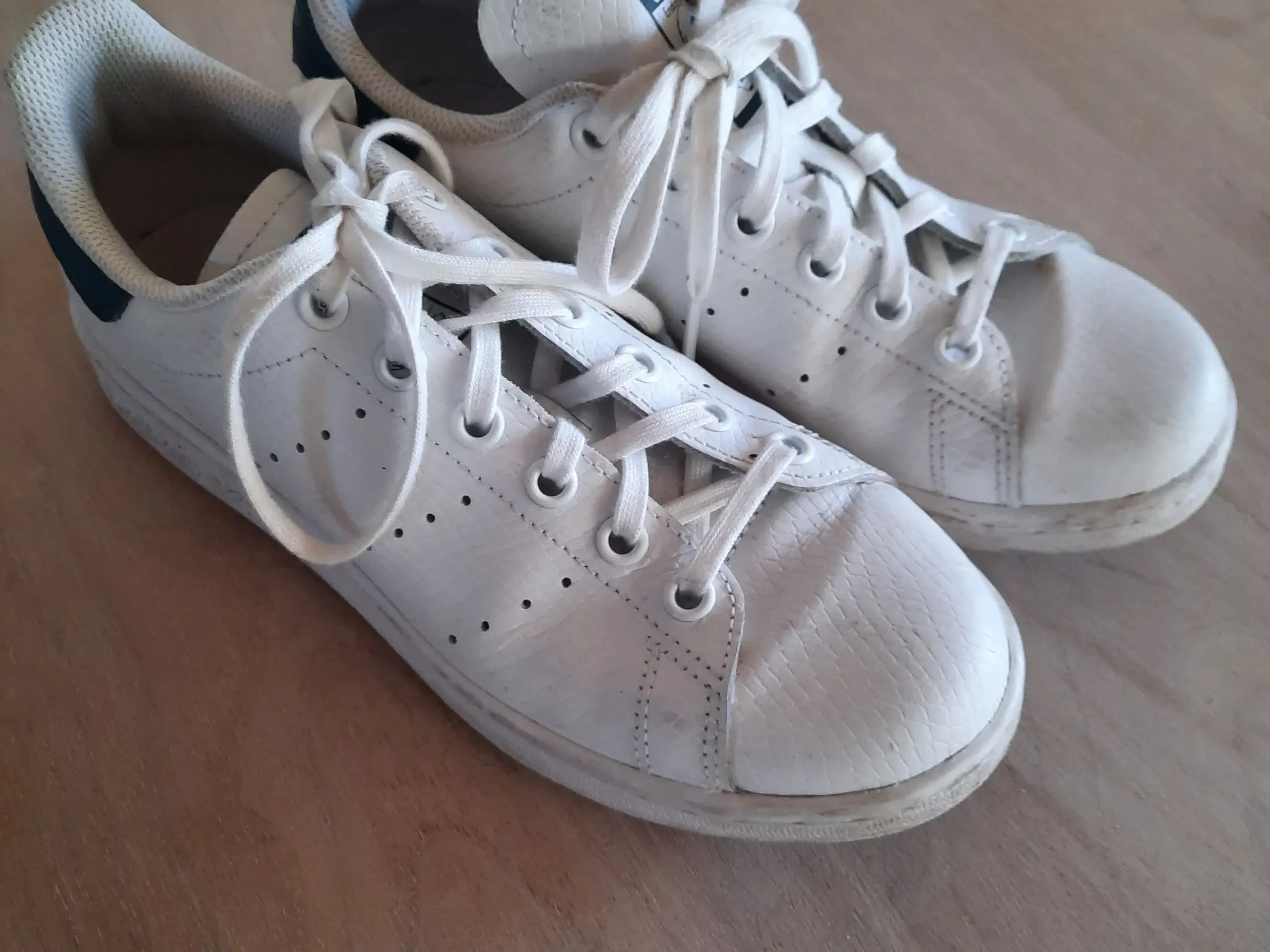 Stan Smith str 36