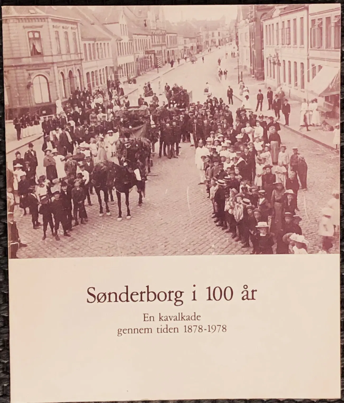 Sønderborg i 100 år