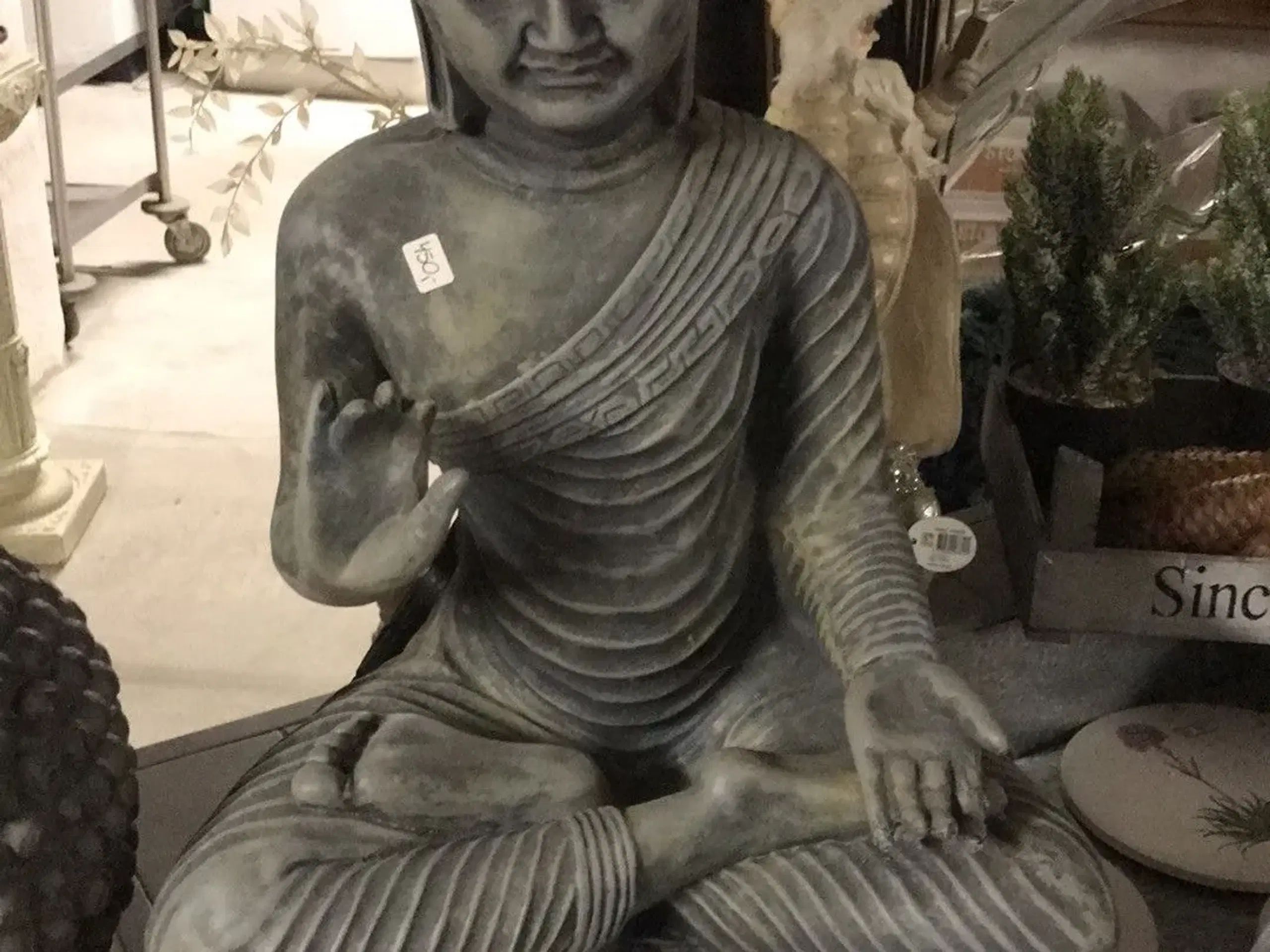 Buddha / Madonna