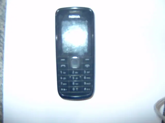 Nokia 113