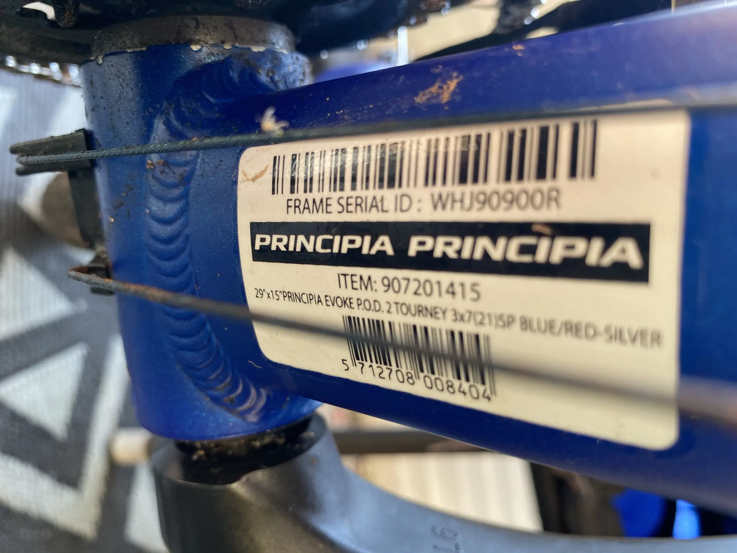 Mountainbike "Principia" Evoke POD Tourney