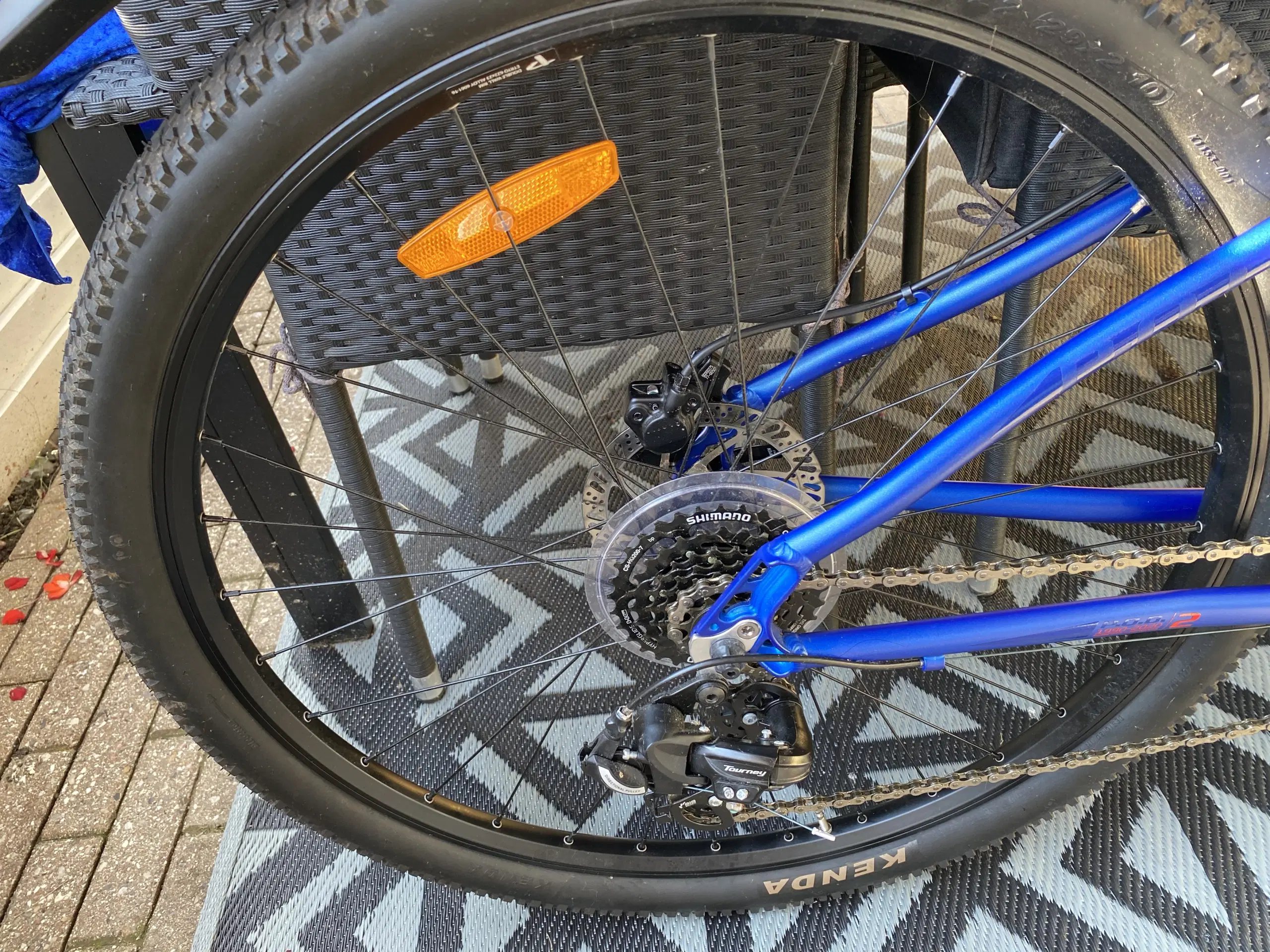 Mountainbike "Principia" Evoke POD Tourney