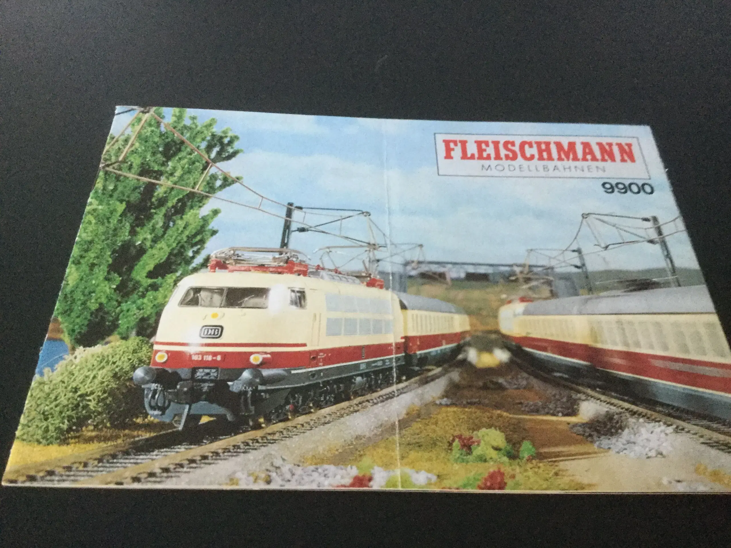 Fleischmann brochure