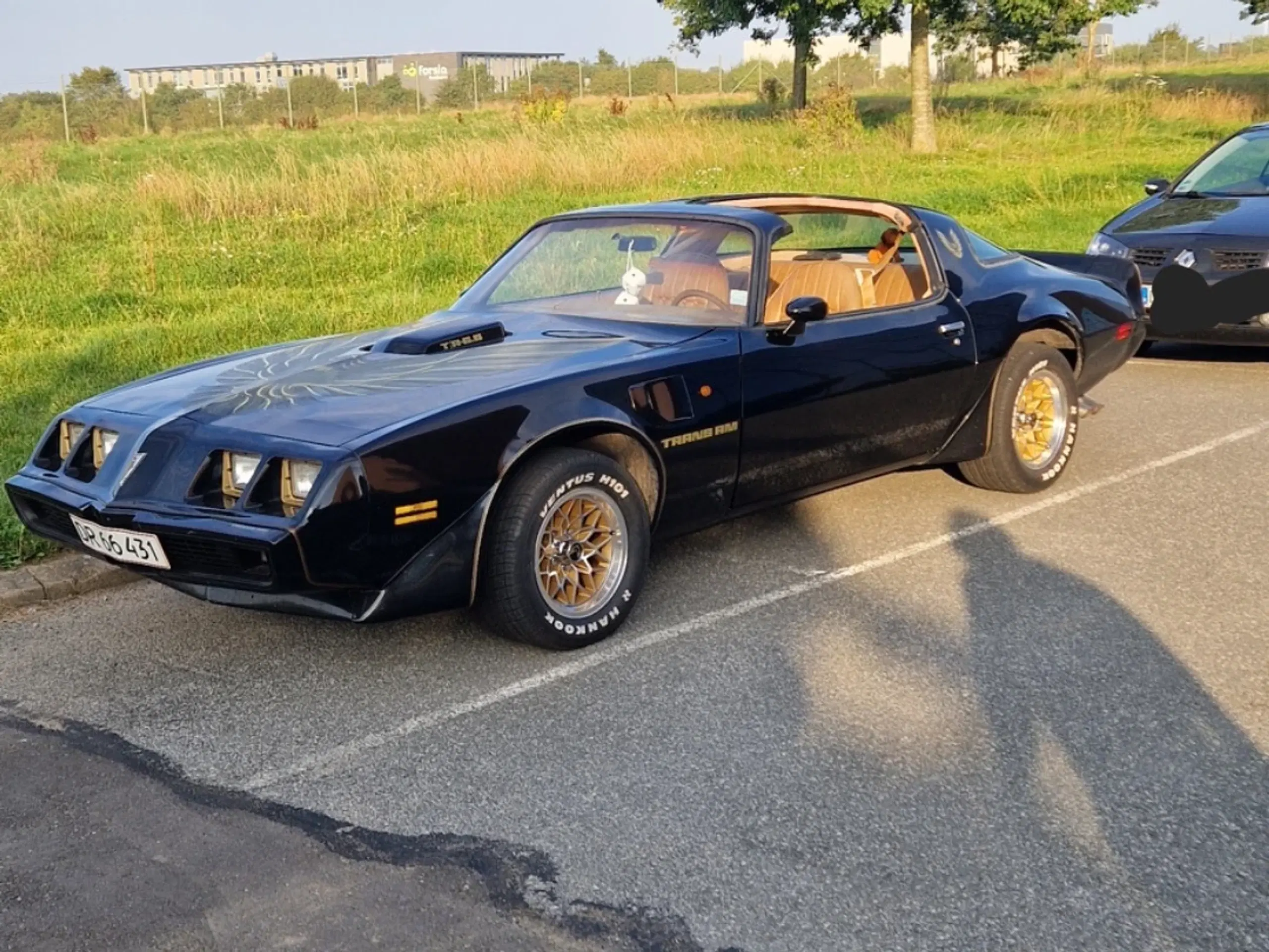 Trans Am