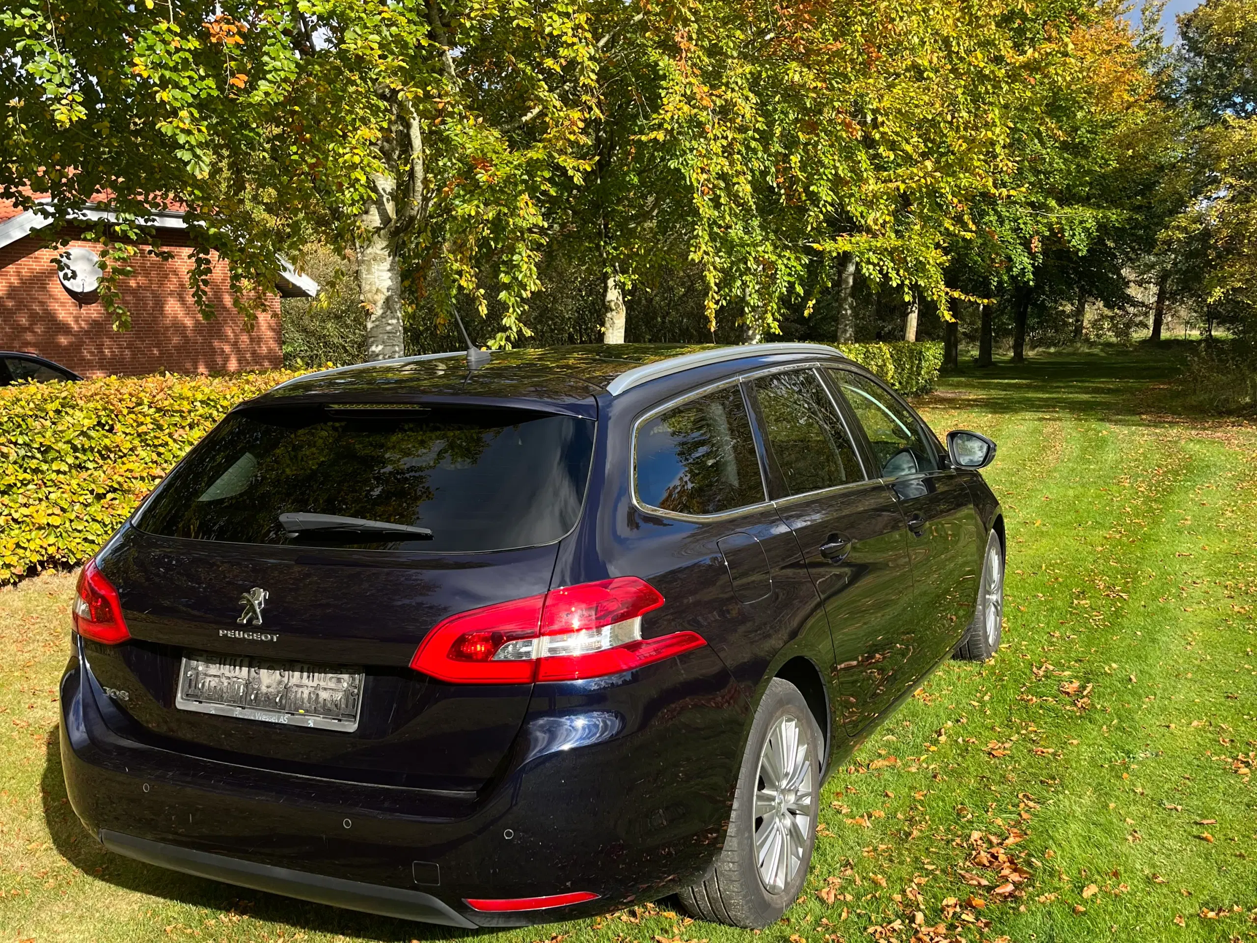 Peugeot 308 BLUEHDI 130 SE