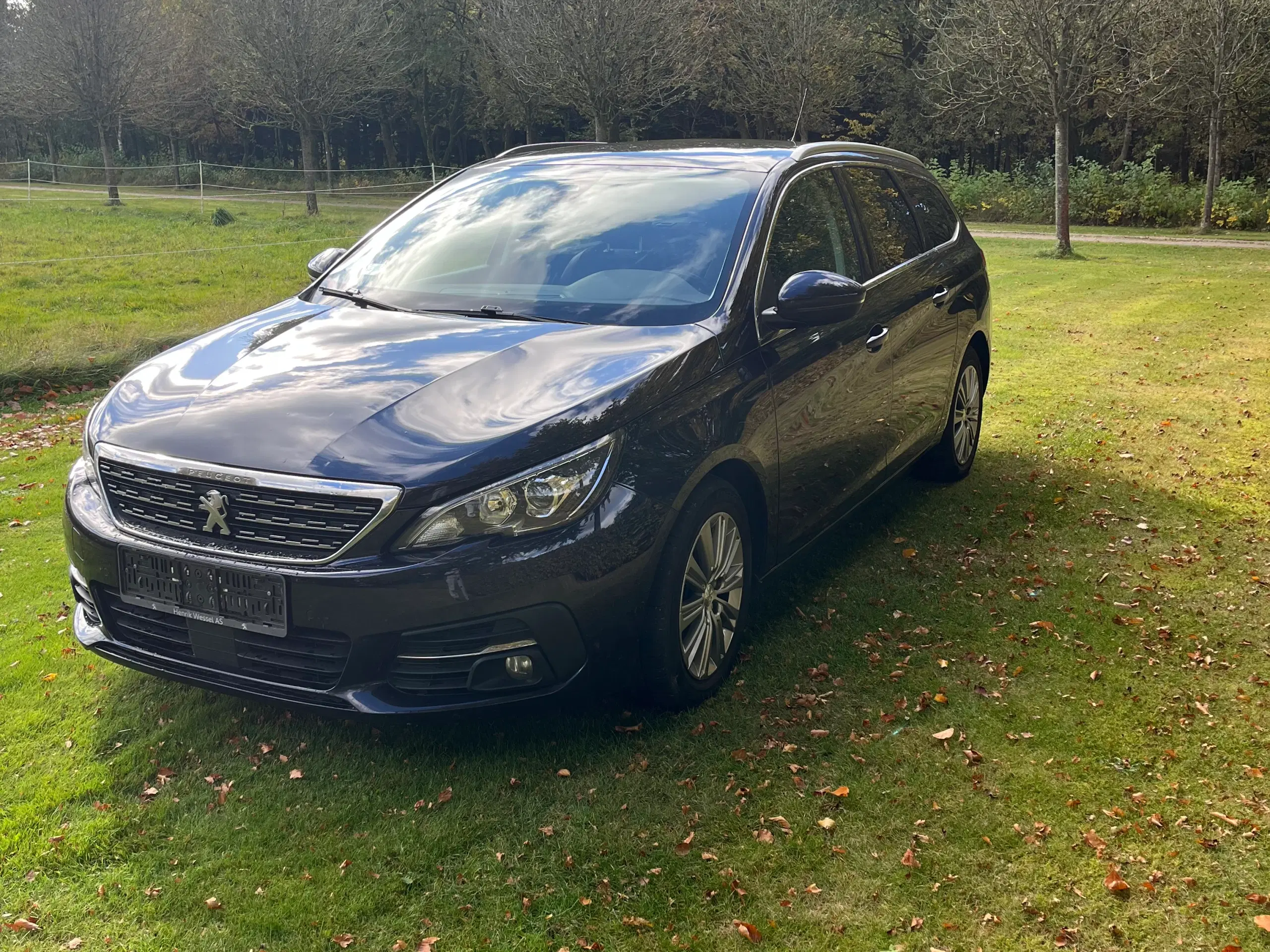 Peugeot 308 BLUEHDI 130 SE