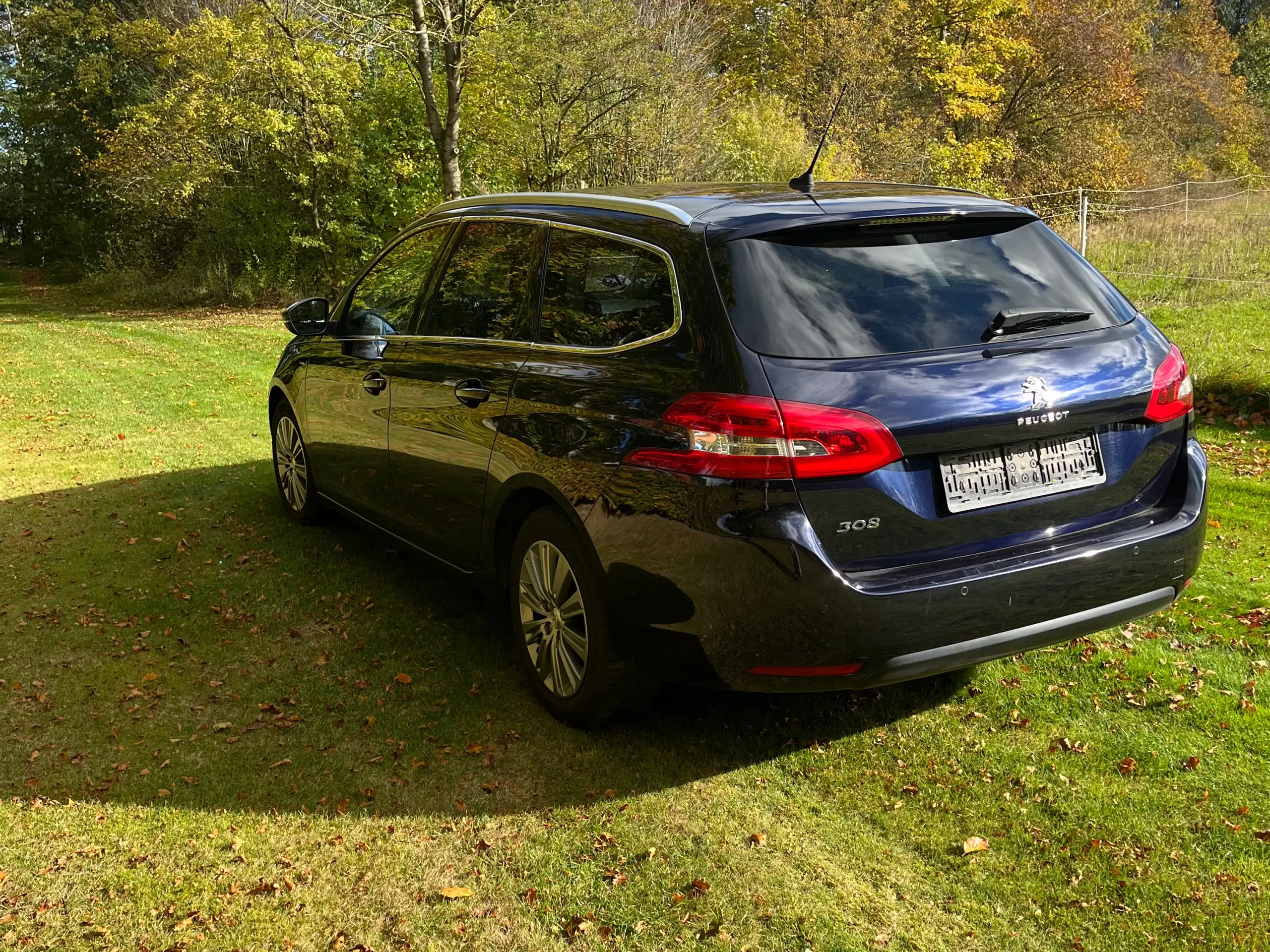 Peugeot 308 BLUEHDI 130 SE