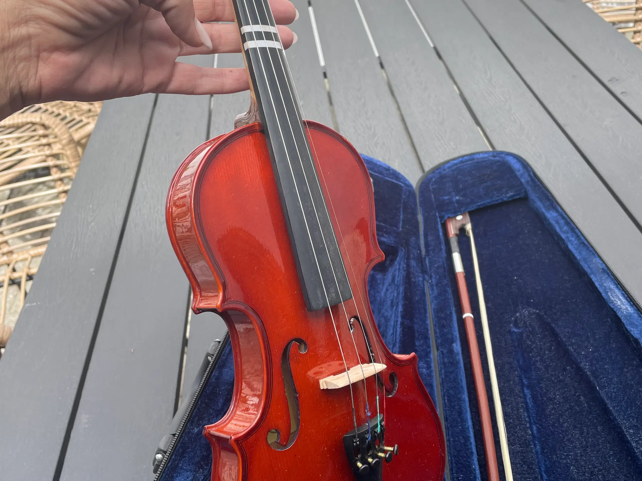 Violin