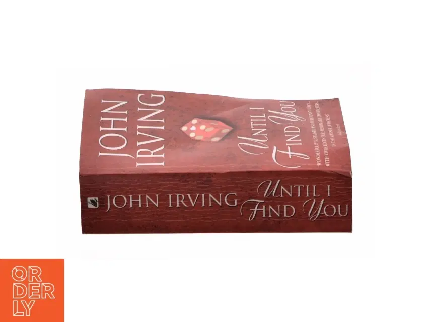 Until I Find You af Irving John (Bog)