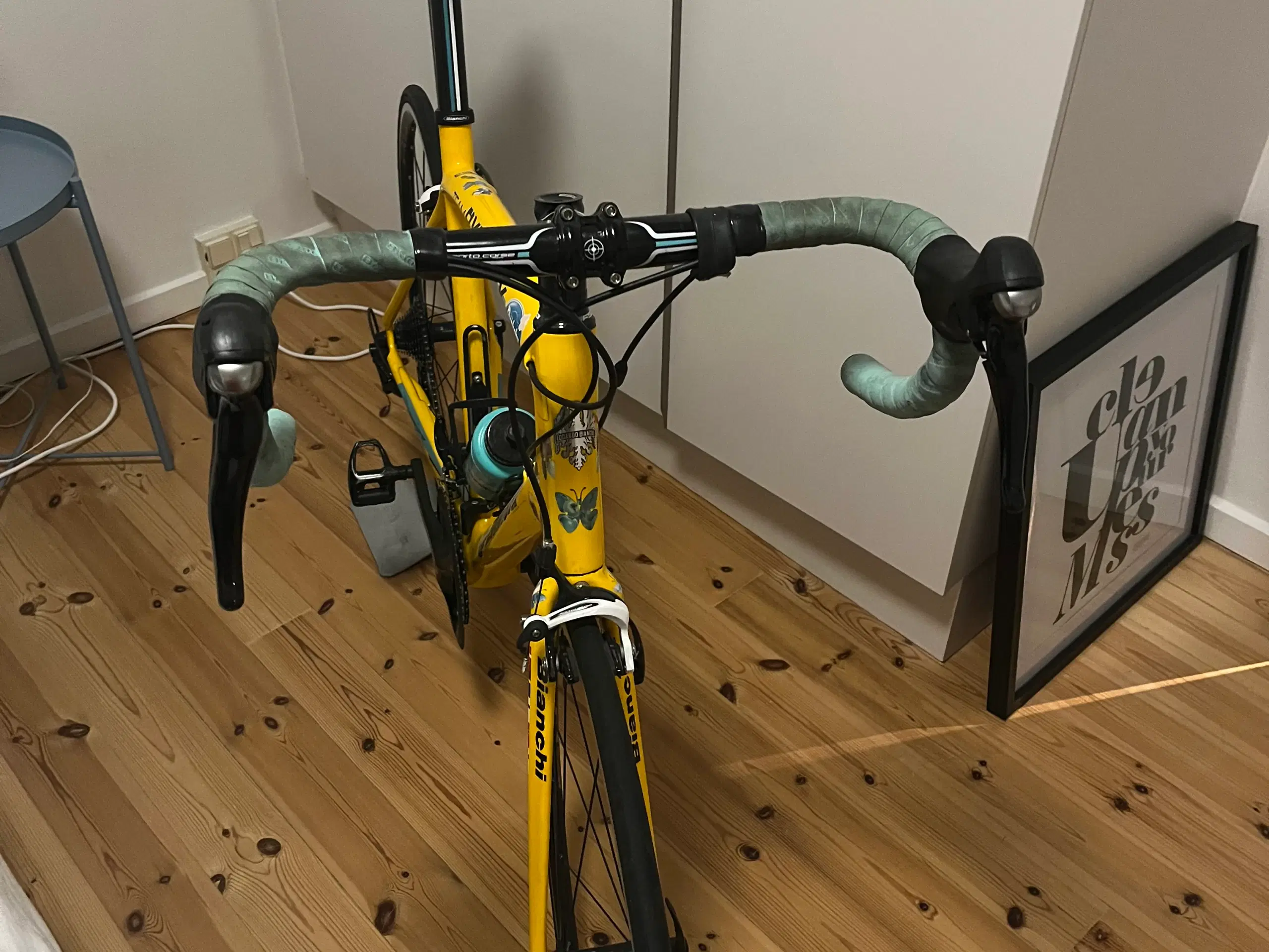 Bianchi team rynkeby racercykel