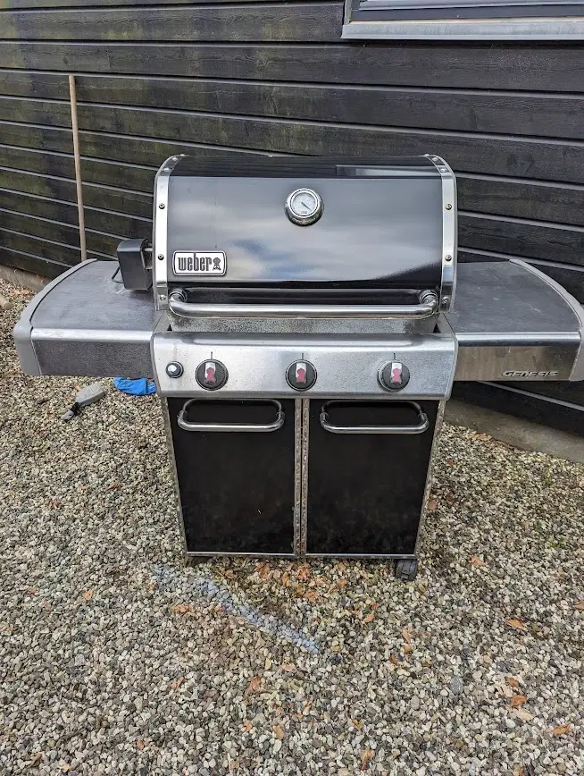 Weber Genesis