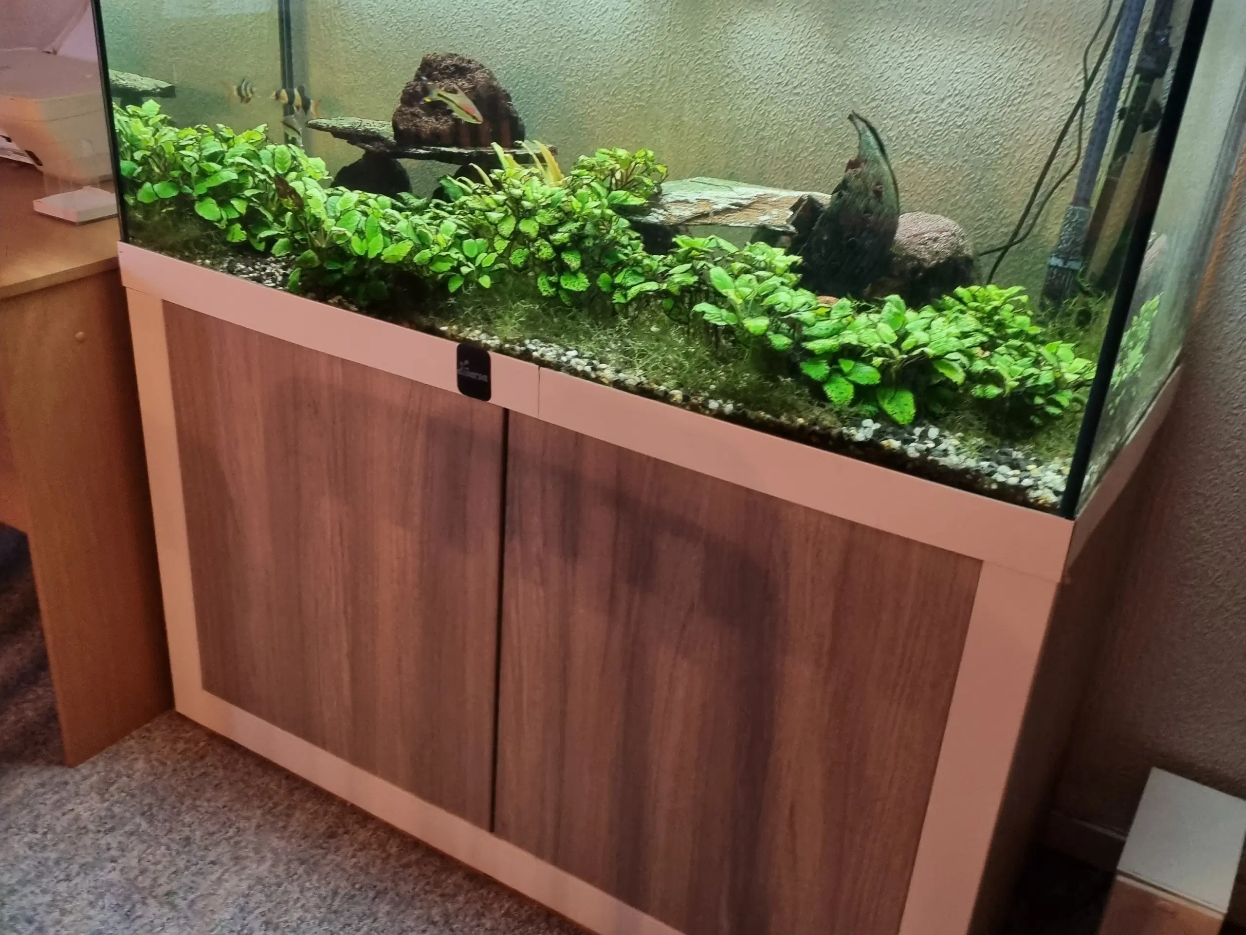 Diversa 300l akvarie med bord