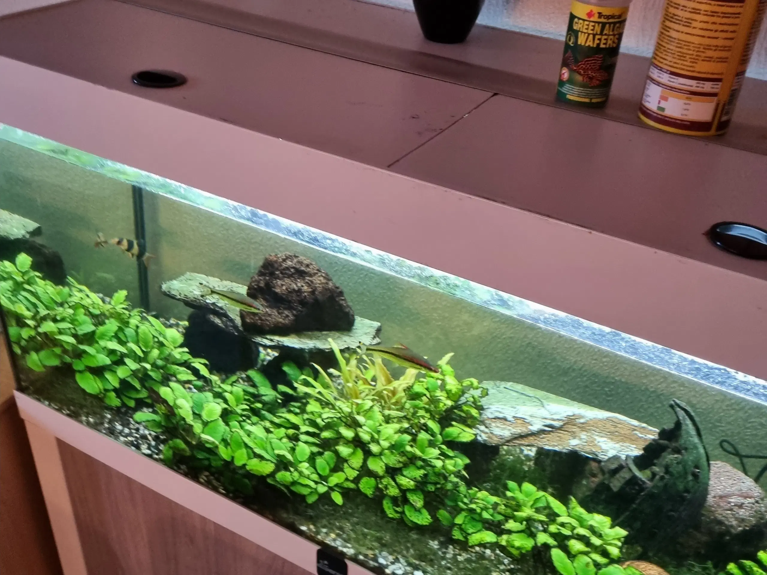 Diversa 300l akvarie med bord