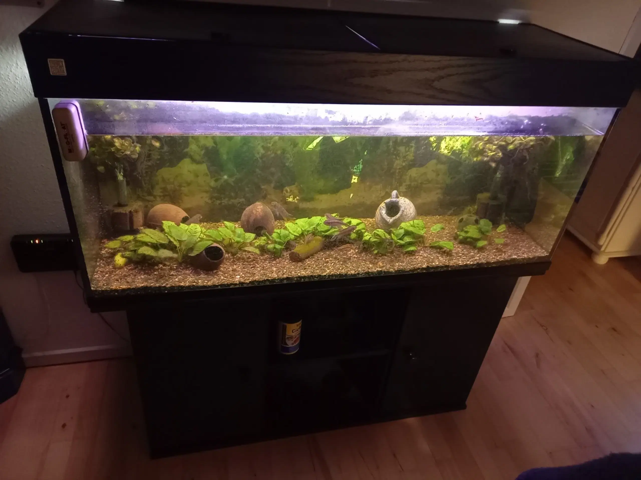 Akvarium  med fisk og tilbehør