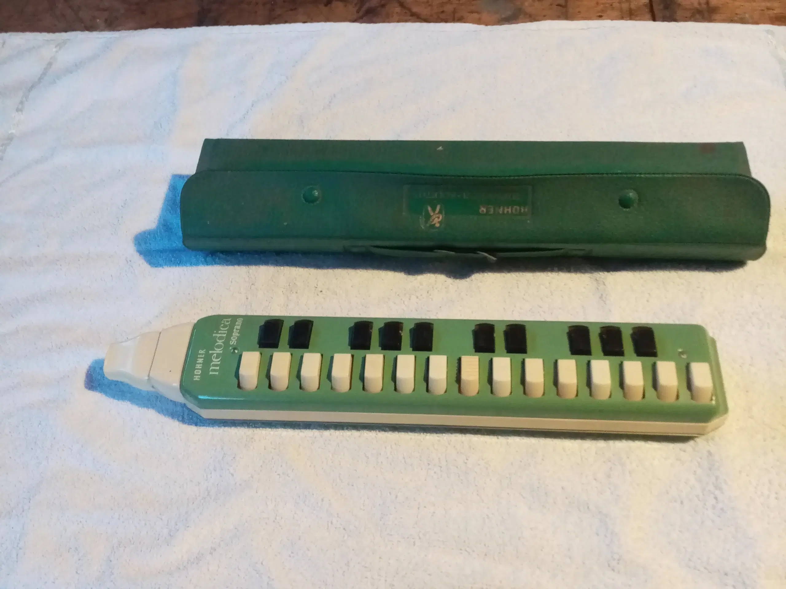 melodica hohner