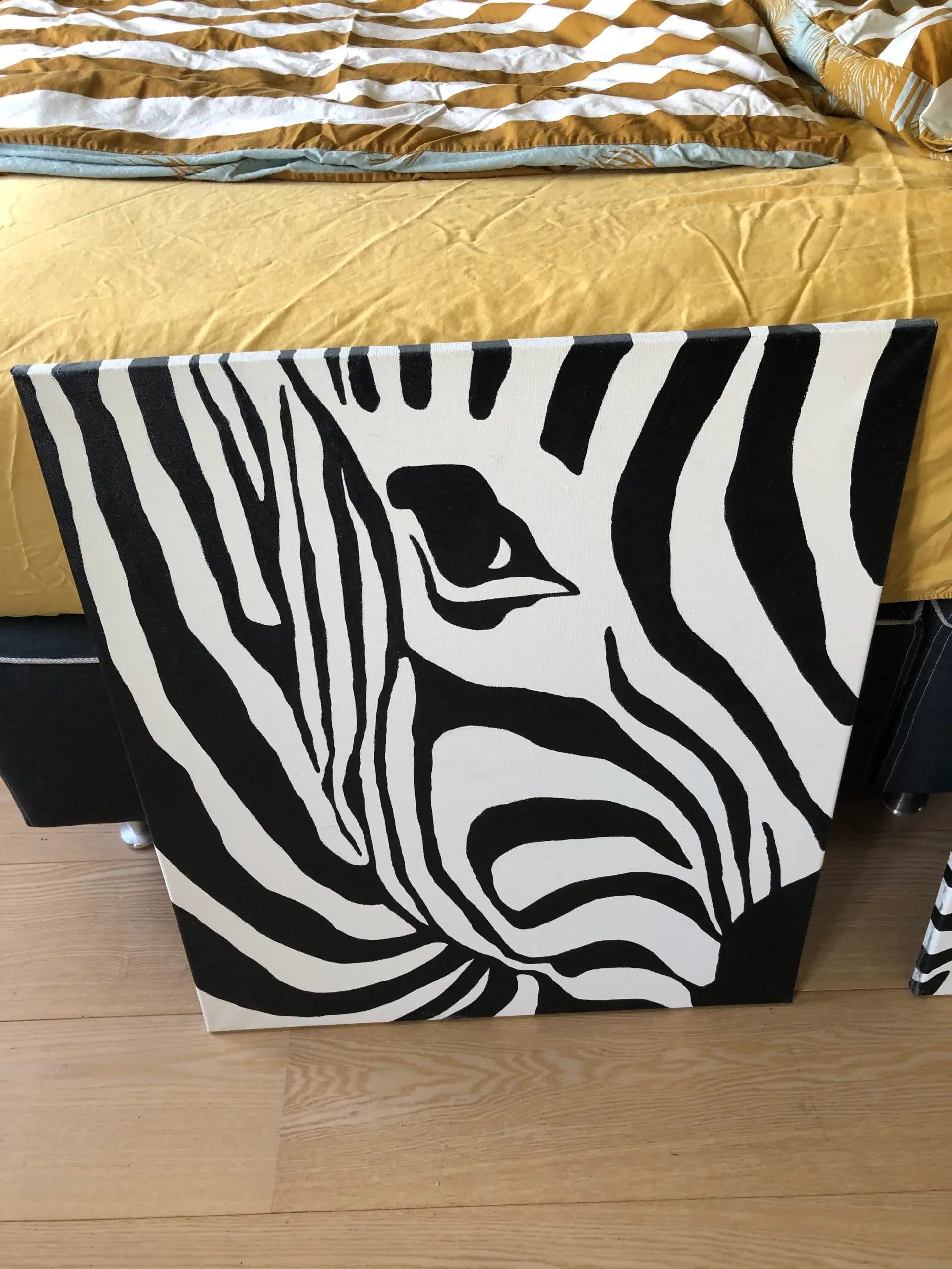 Zebra billeder