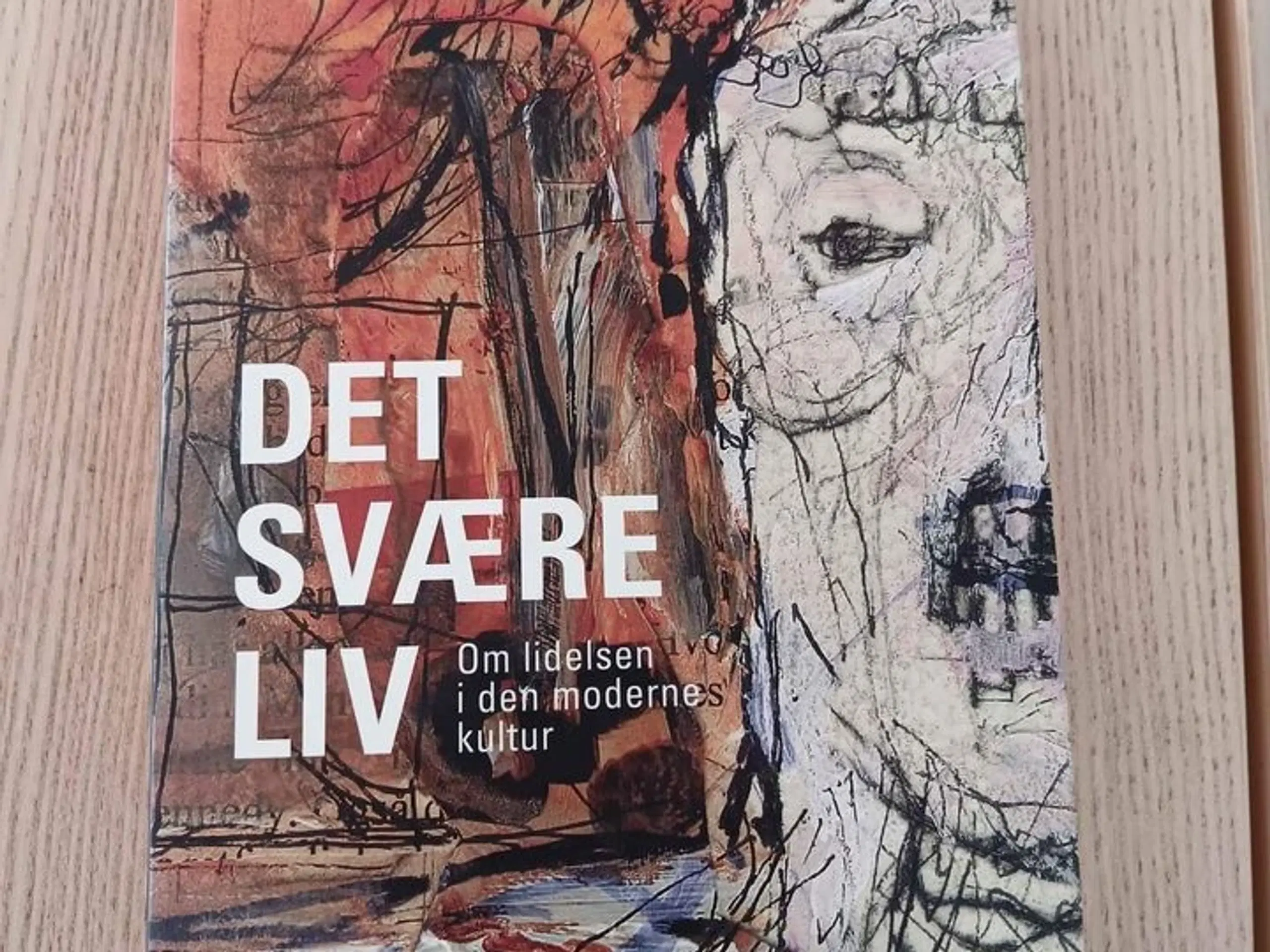 Det svære liv - om lidelsen i den moderne kultur