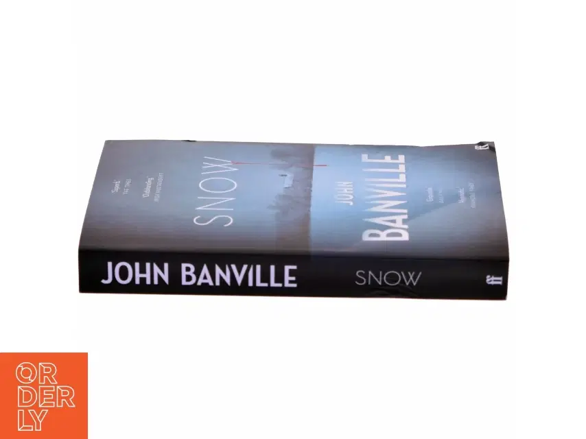 Snow af John Banville (Bog)