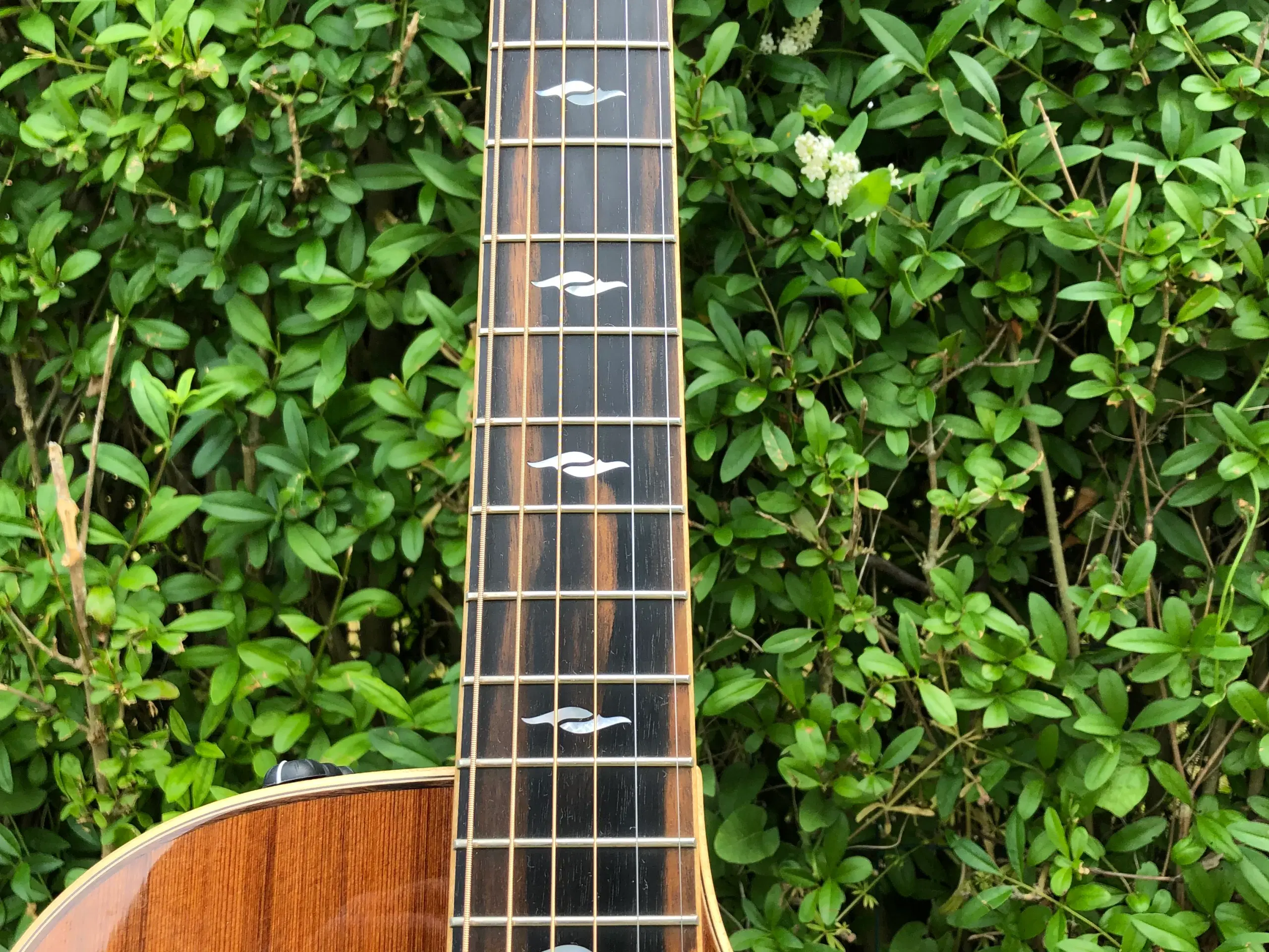 Taylor 812ce 12-Fret Limited Edition NAMM