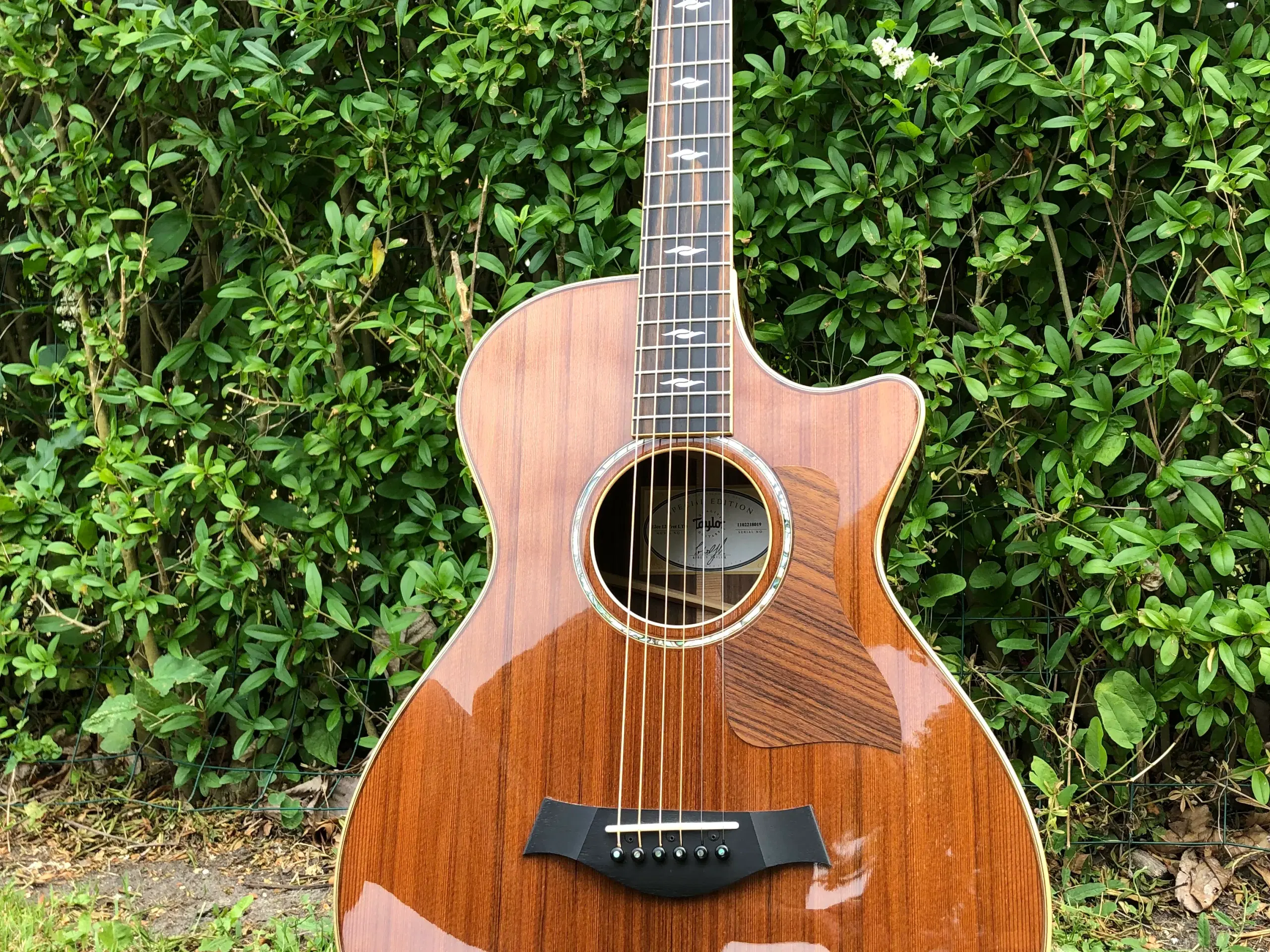 Taylor 812ce 12-Fret Limited Edition NAMM