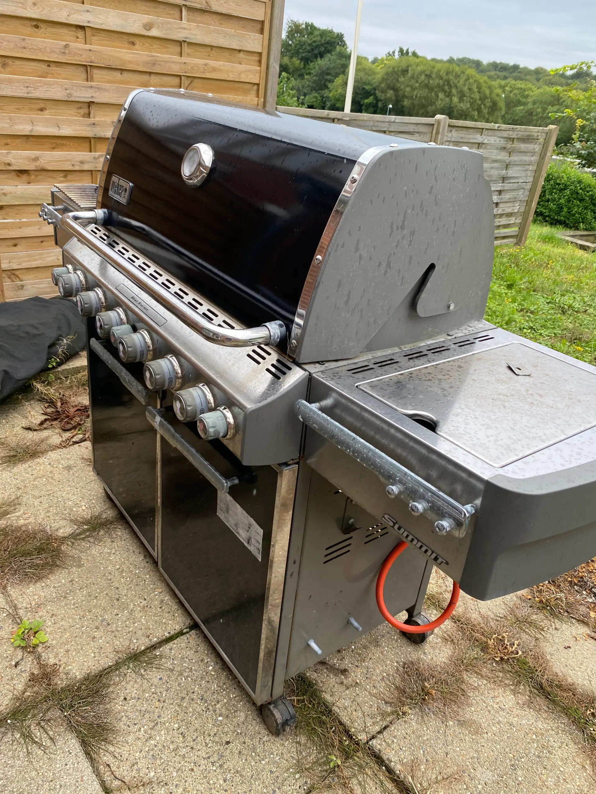 Weber summit gasgrill