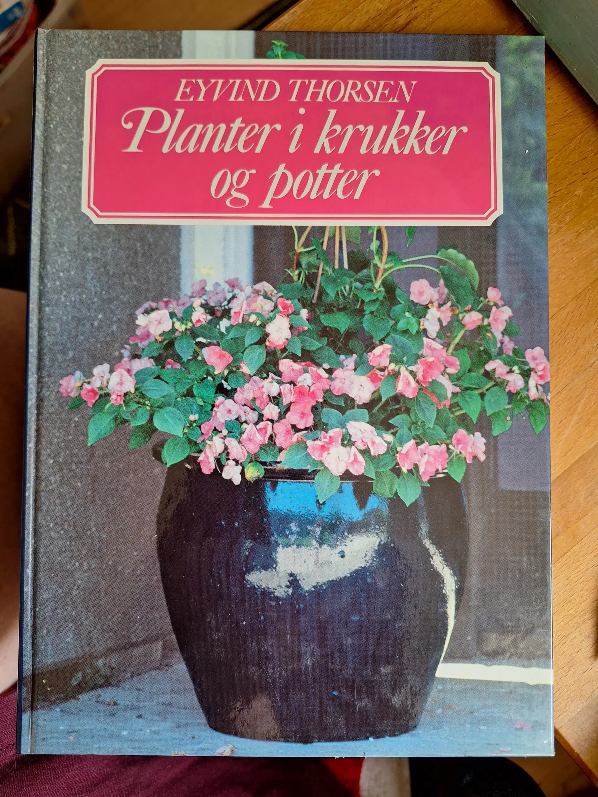 Planter i krukker og potter