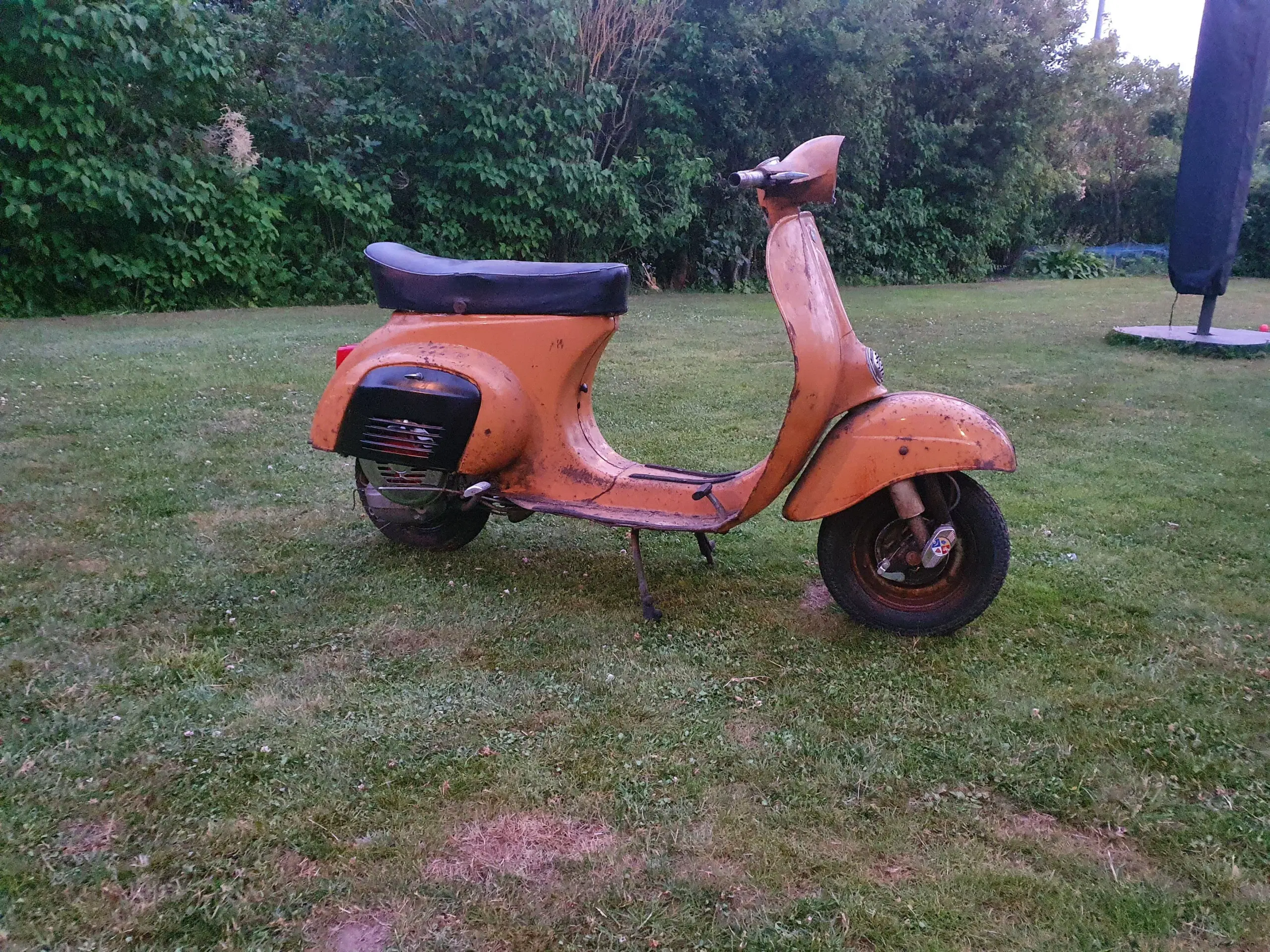 Vespa 50n og faro basso  købes