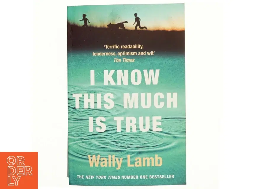 I know this much is true af Wally Lamb (Bog)