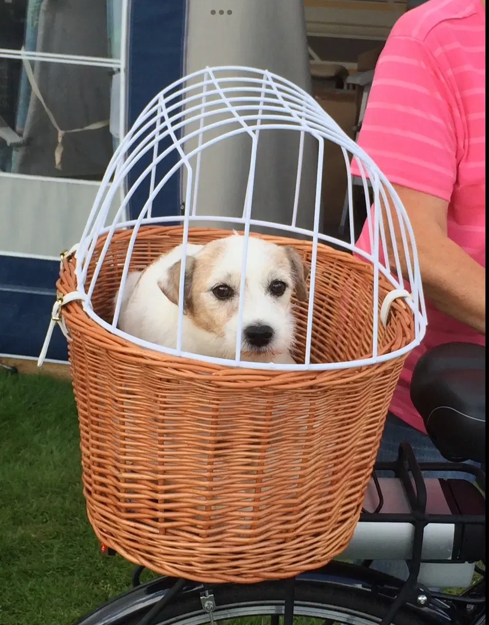 Cykelkurv til transport af hund/kat